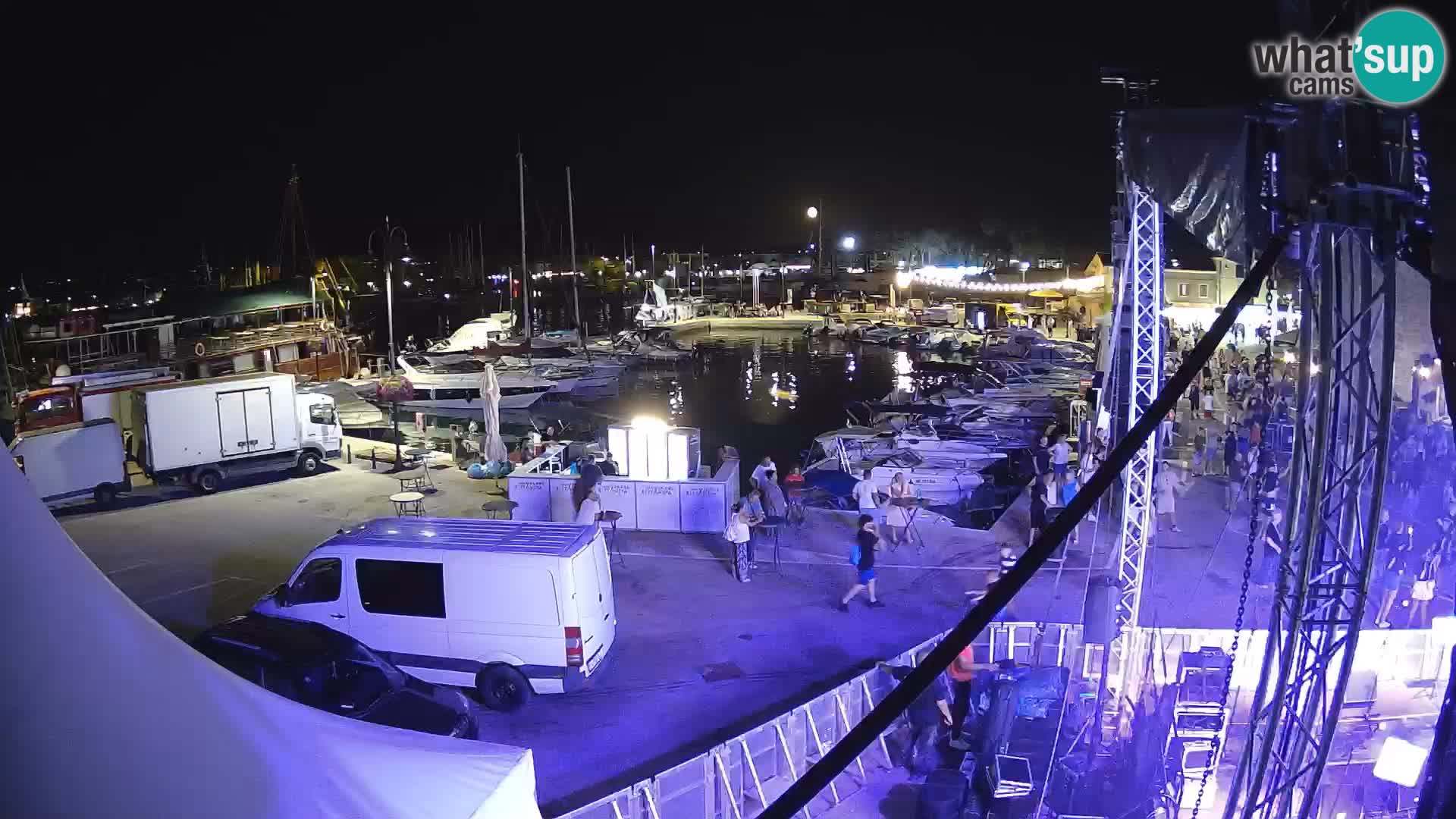 Novigrad | Porporela marina