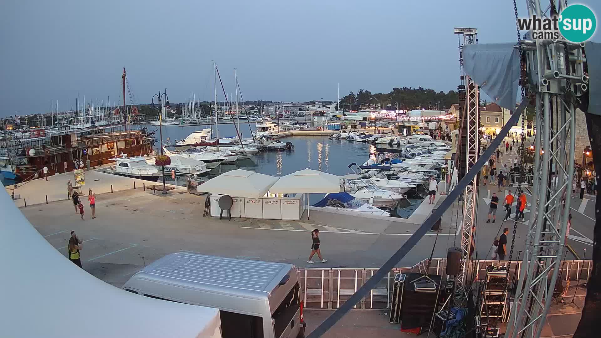 Novigrad | Porporela marina