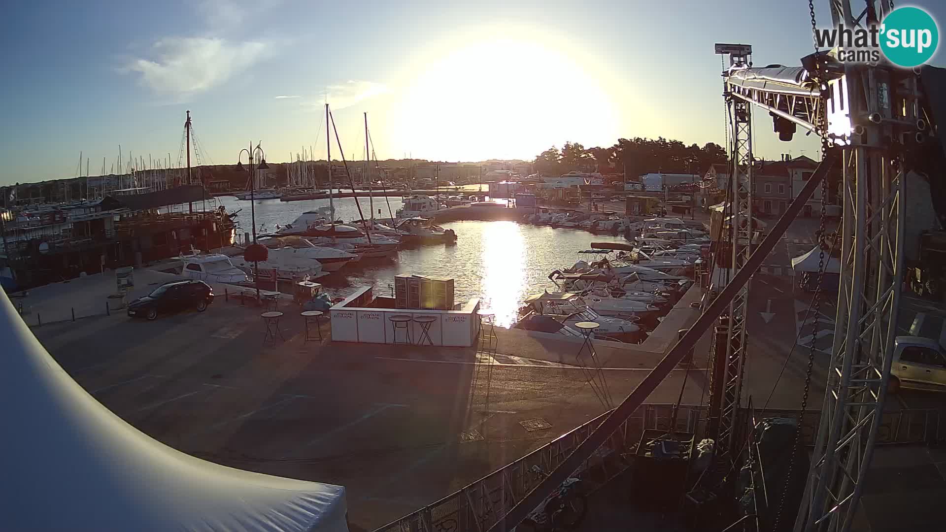 Novigrad | Porporela marina