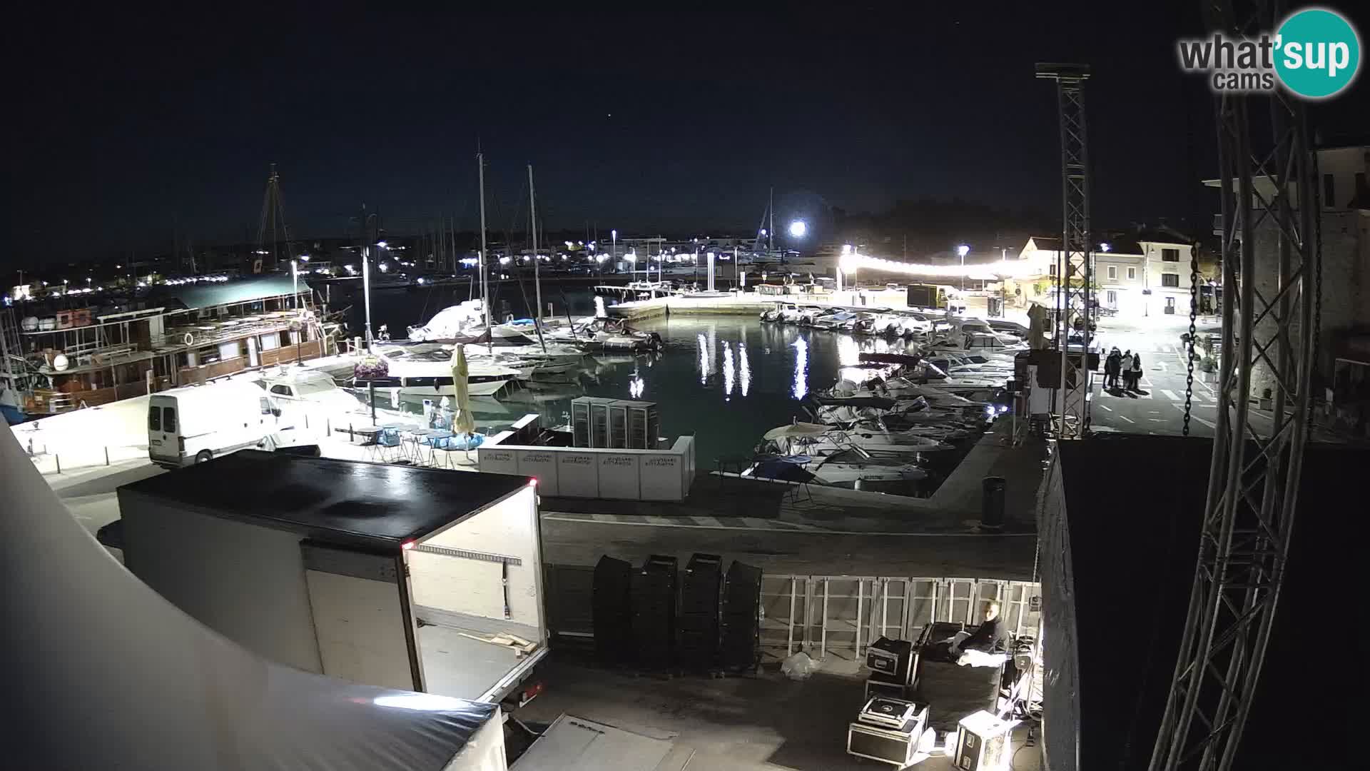 Novigrad | Porporela marina