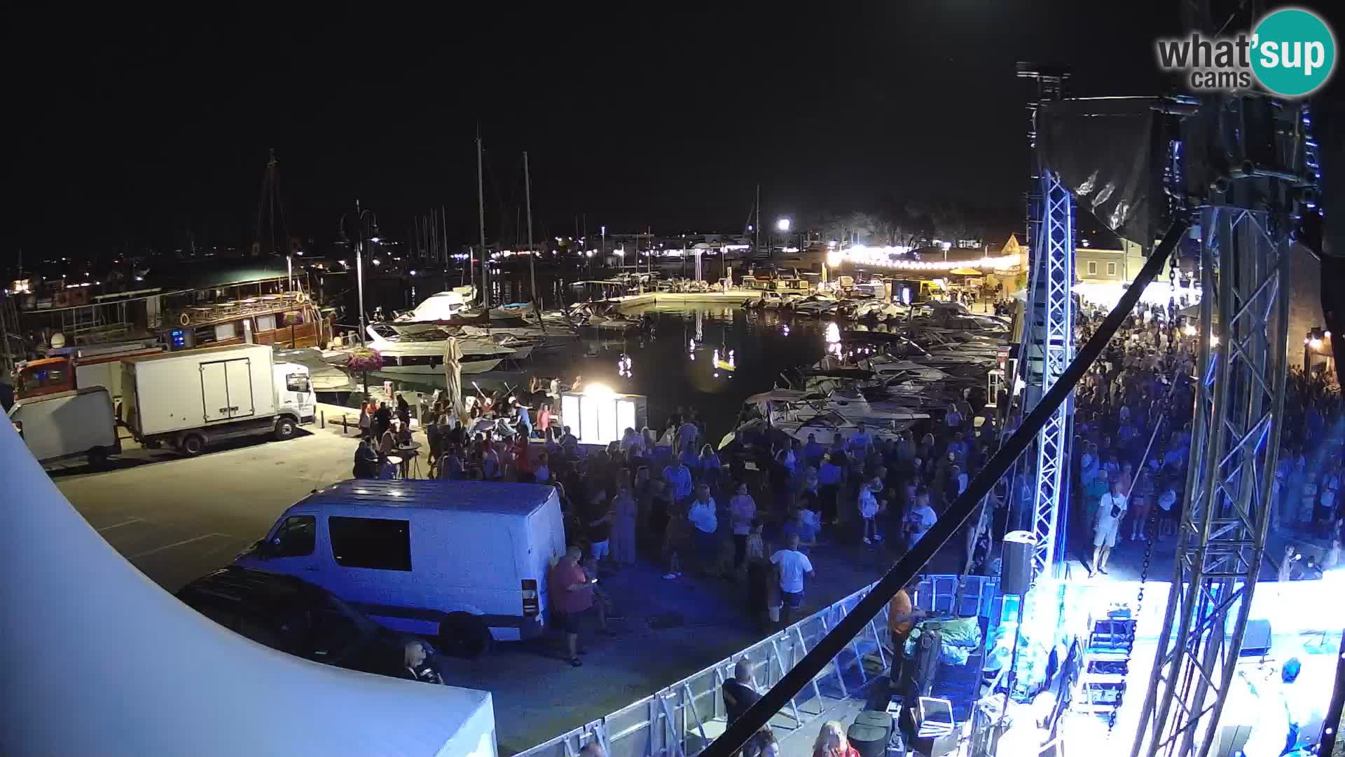 Novigrad | Porporela marina