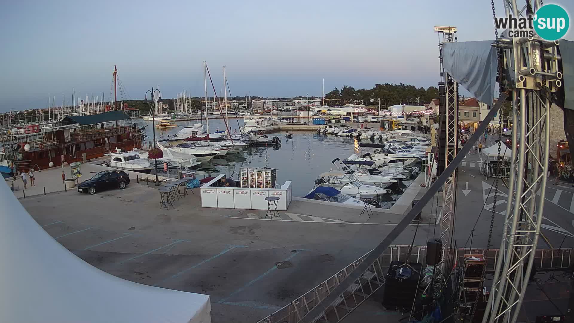 Novigrad | Porporela marina