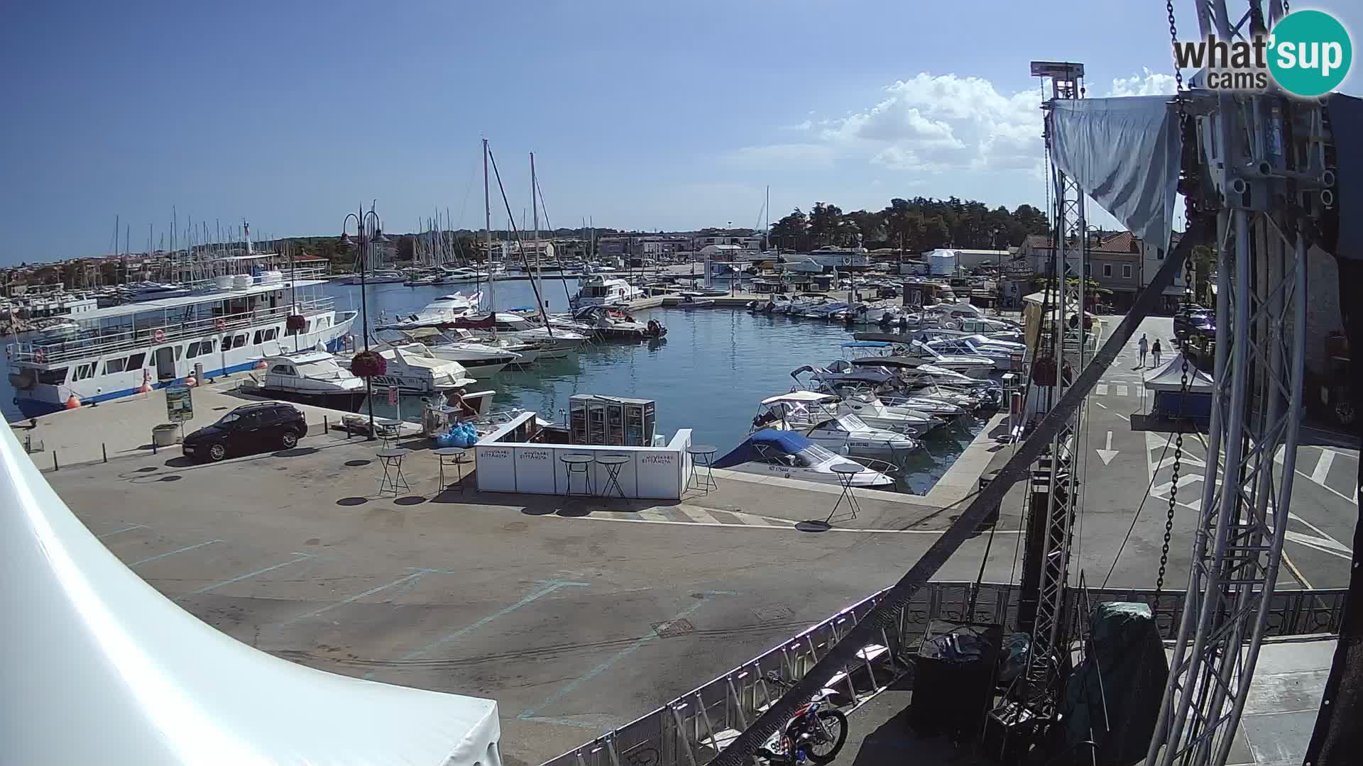 Novigrad | Porporela marina