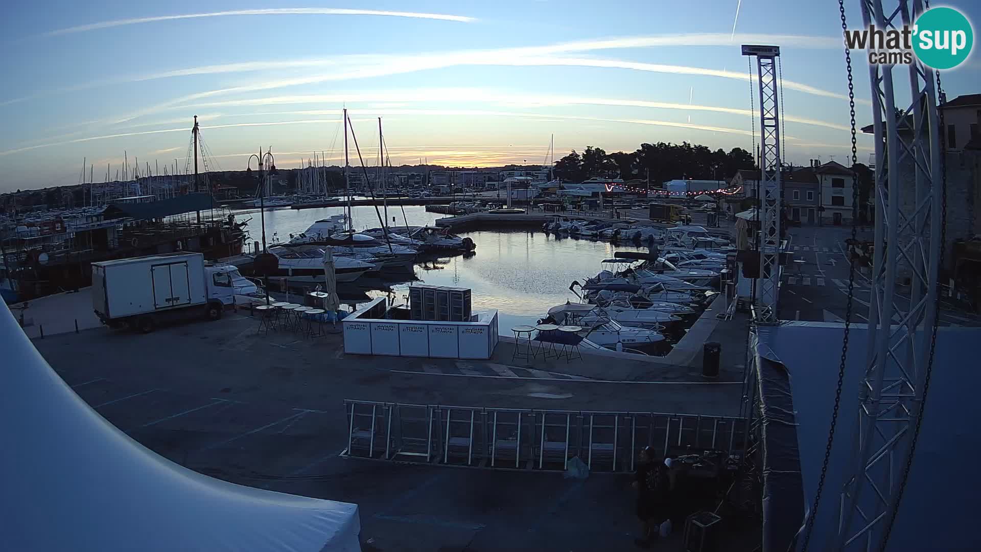 Novigrad | Porporela marina