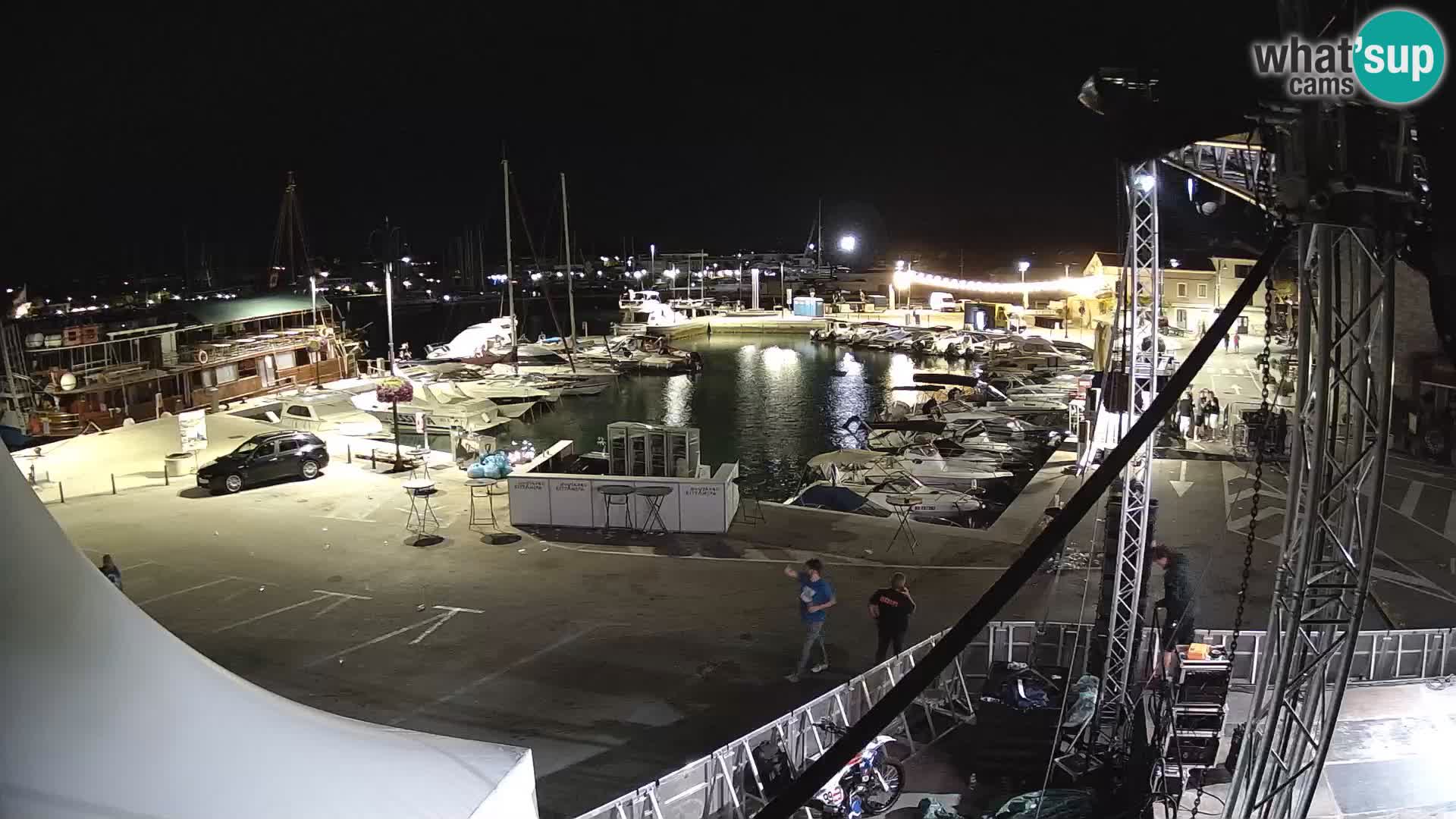 Novigrad | Porporela marina