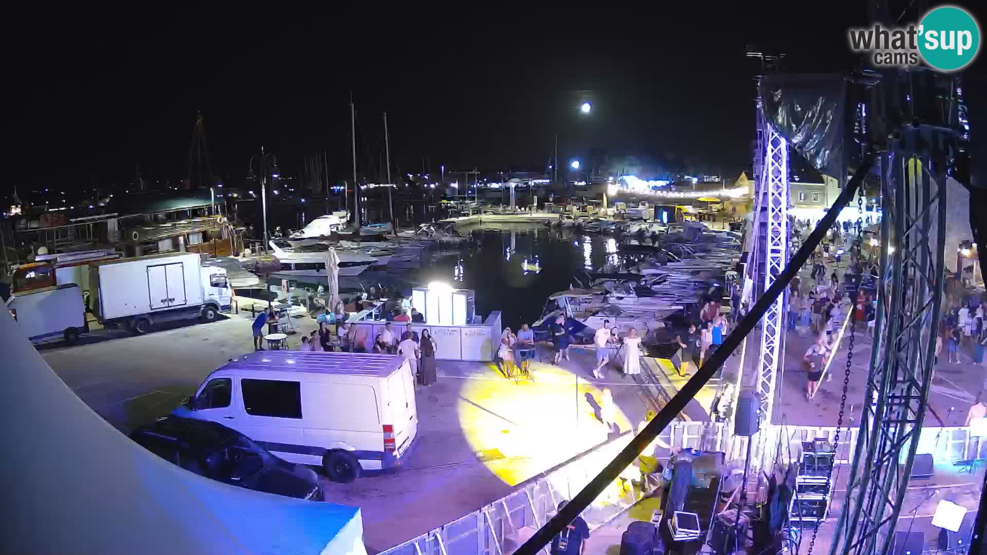 Novigrad | Porporela marina