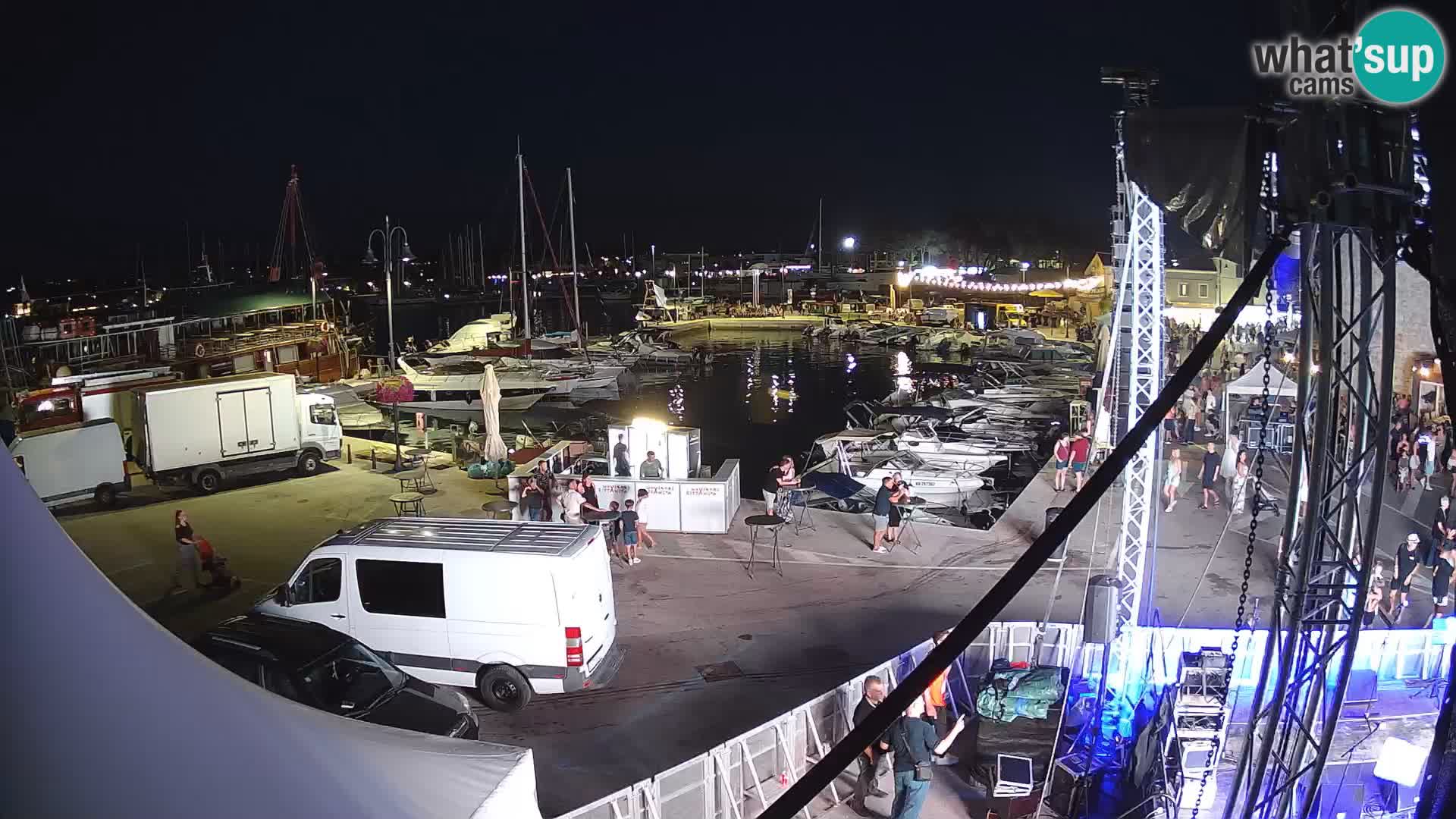 Novigrad | Porporela marina