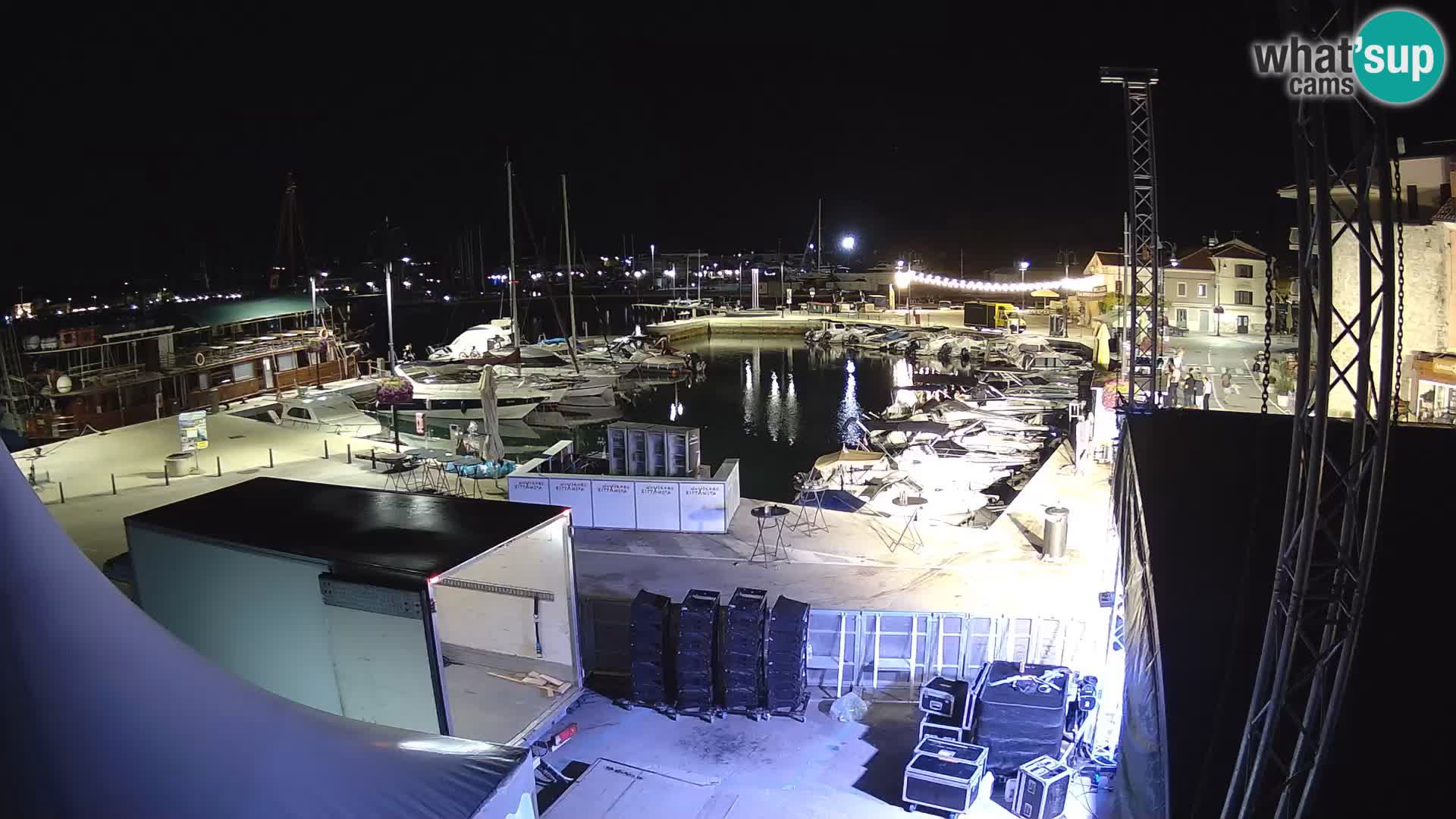 Novigrad | Porporela marina