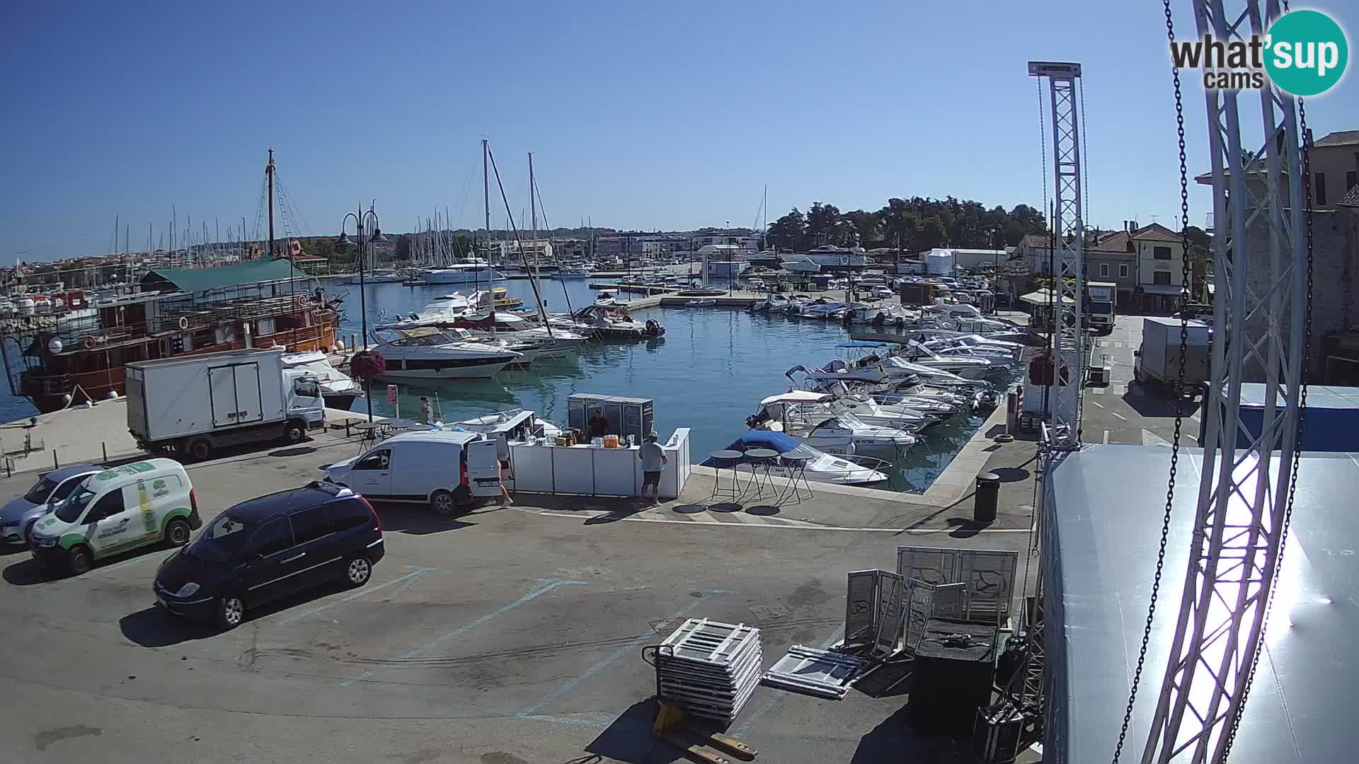 Novigrad | Porporela marina