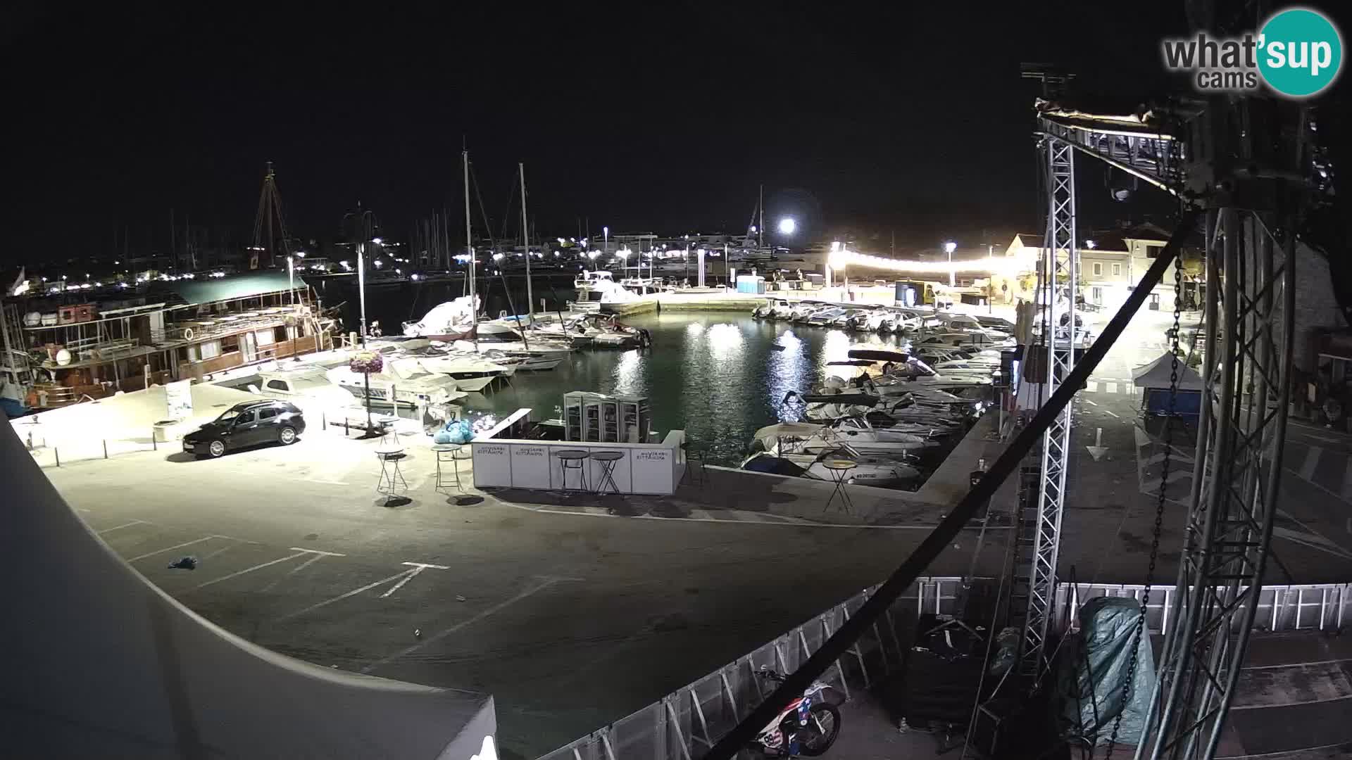 Novigrad | Porporela marina