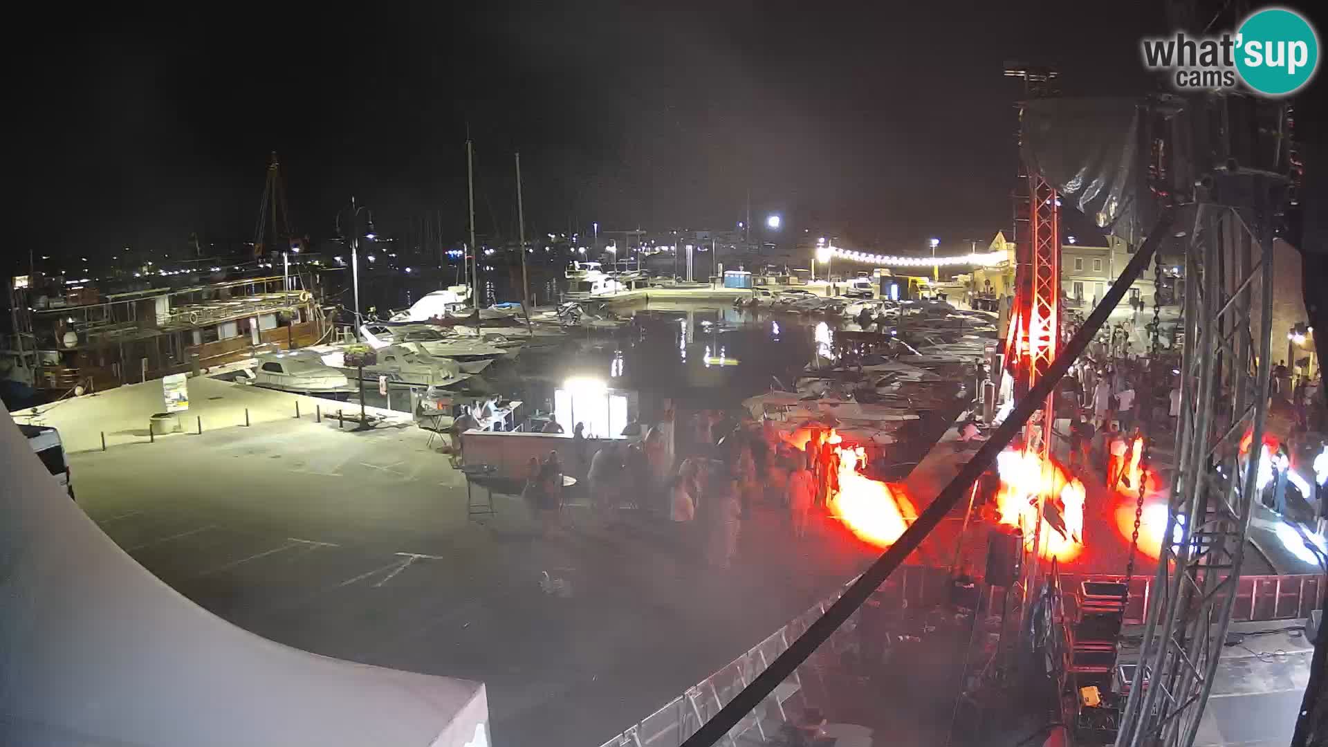 Novigrad | Porporela marina