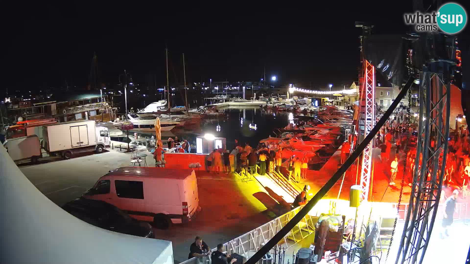Novigrad | Porporela marina