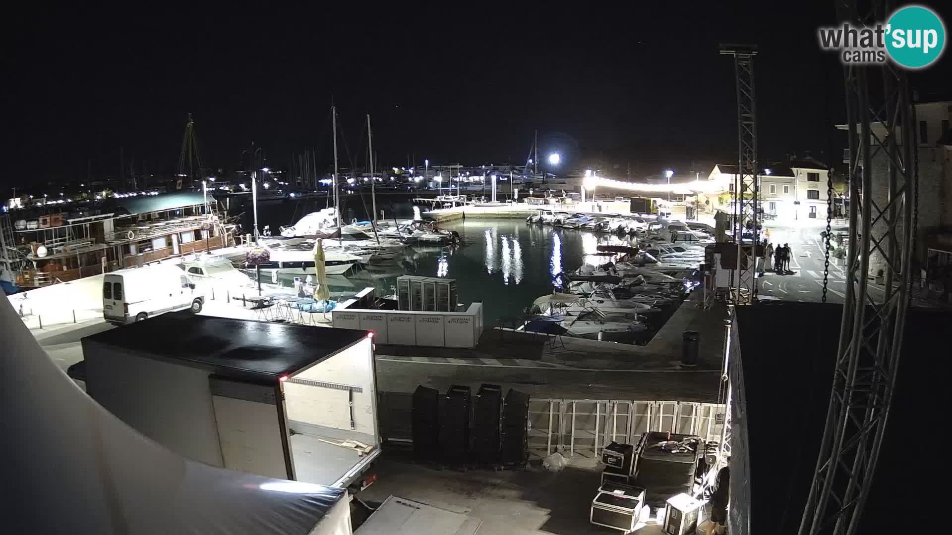 Novigrad | Porporela marina