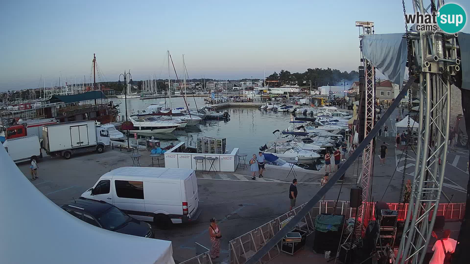 Novigrad | Porporela marina