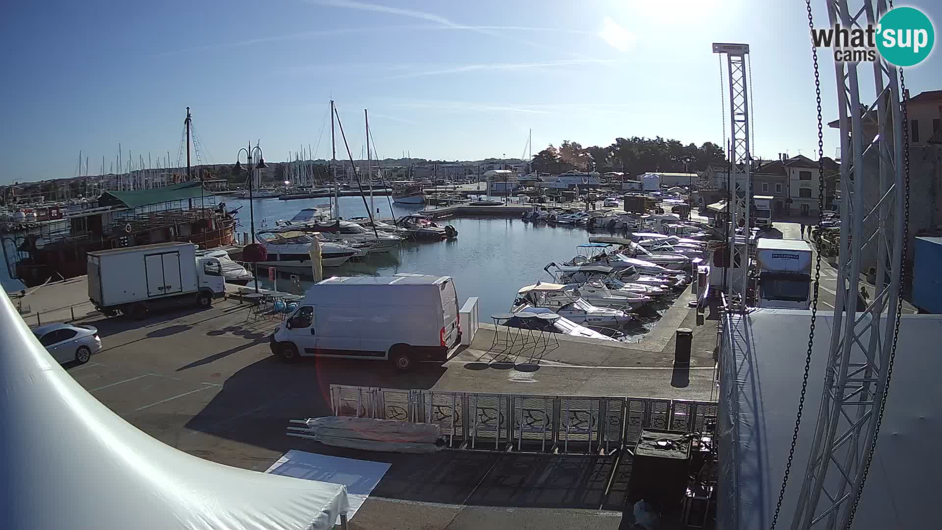 Novigrad | Porporela marina
