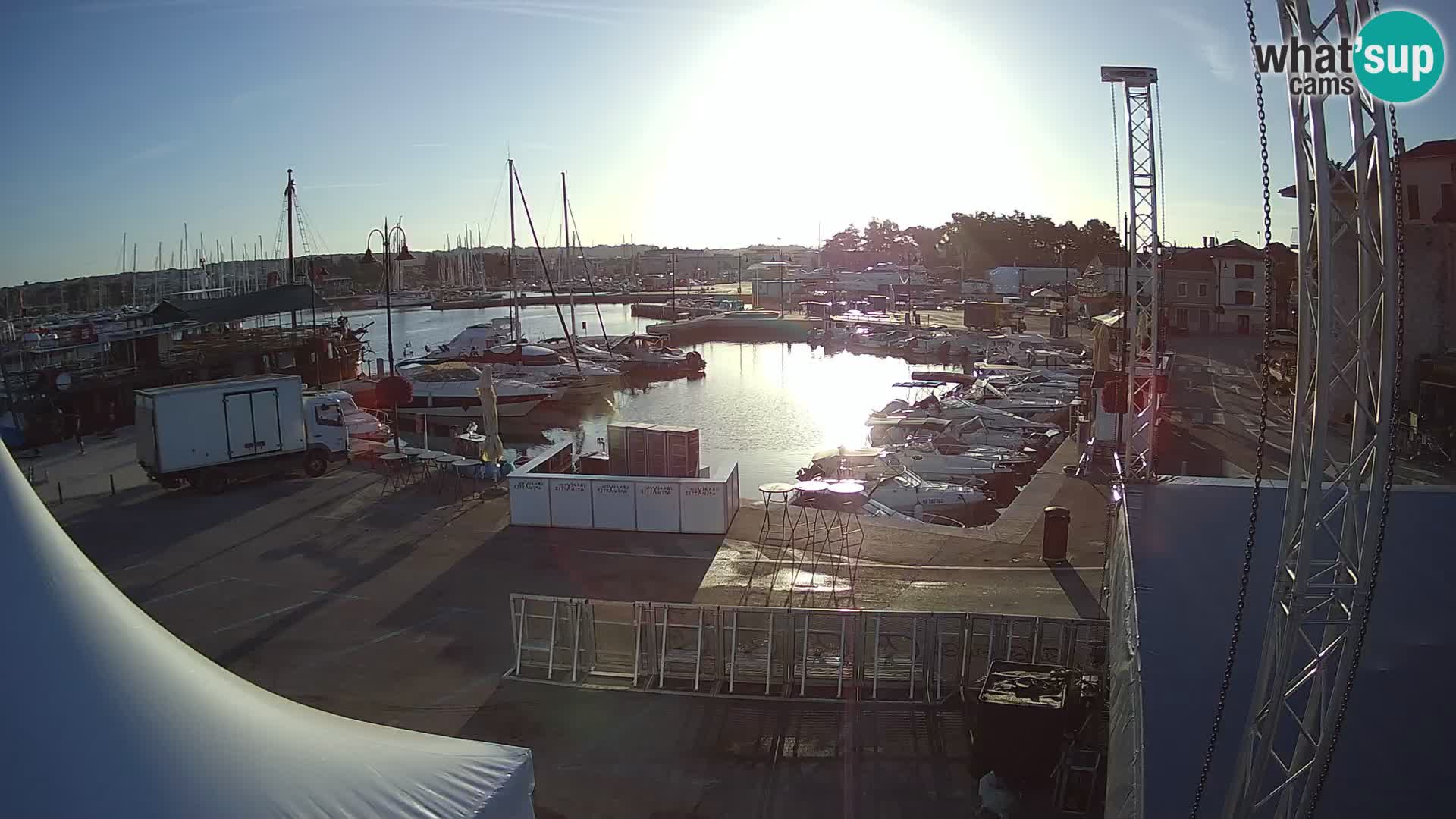Novigrad | Porporela marina