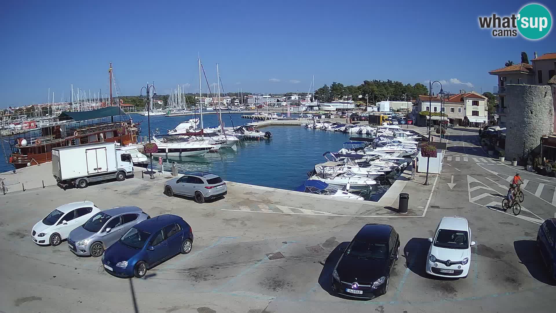 Novigrad | Porporela marina