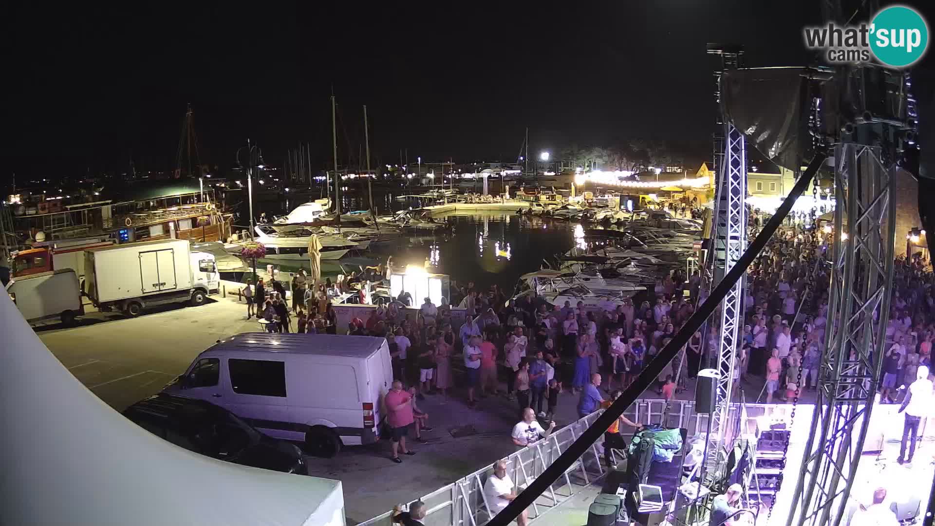Novigrad | Porporela marina