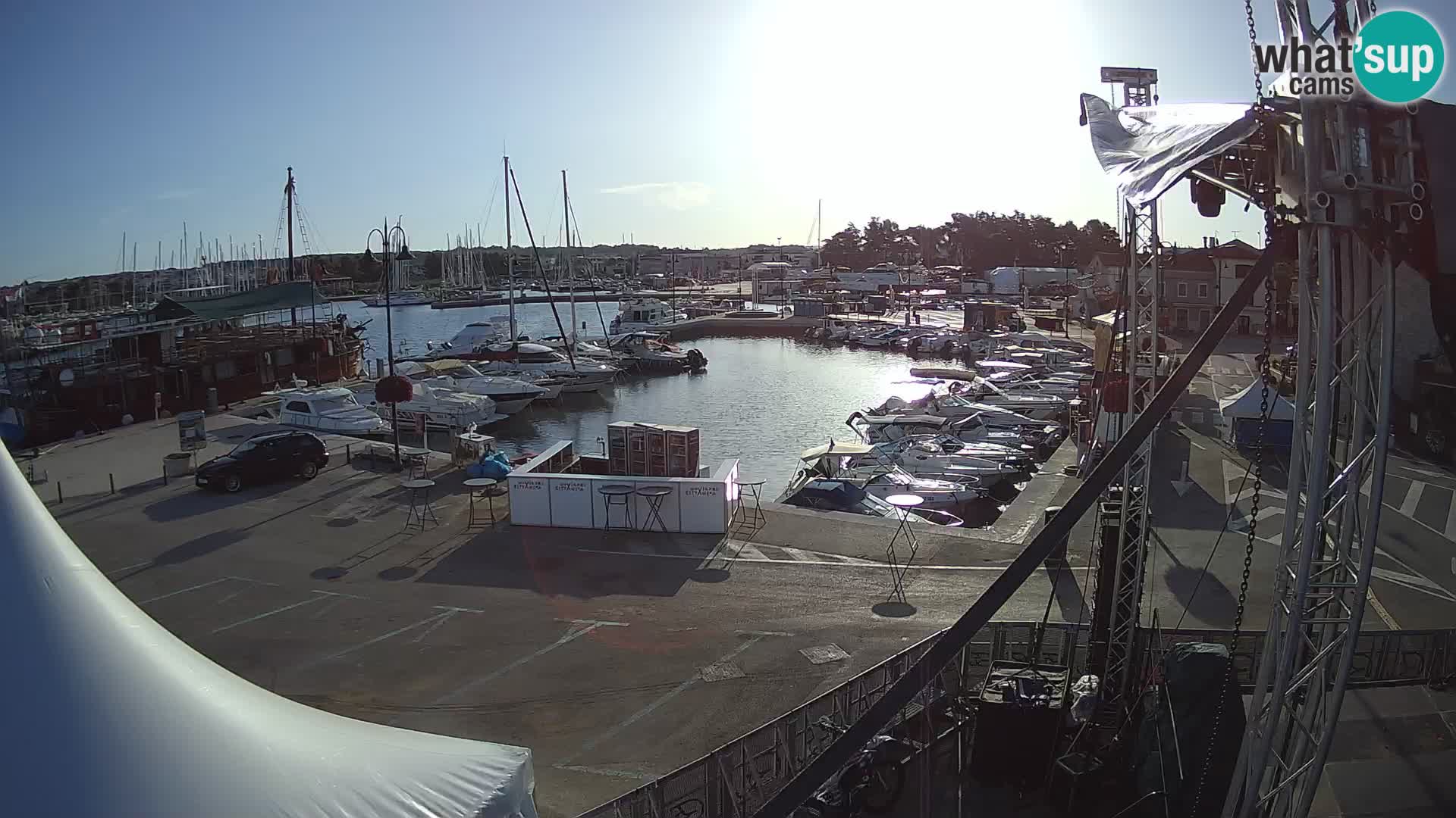 Novigrad | Porporela marina