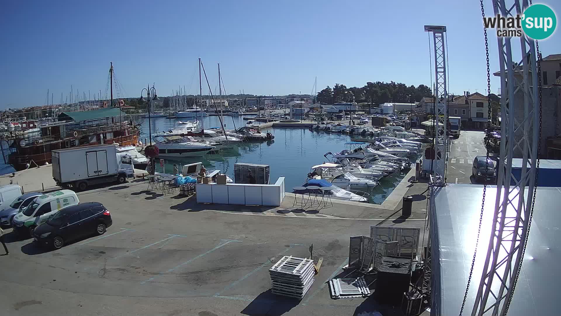 Novigrad | Porporela marina