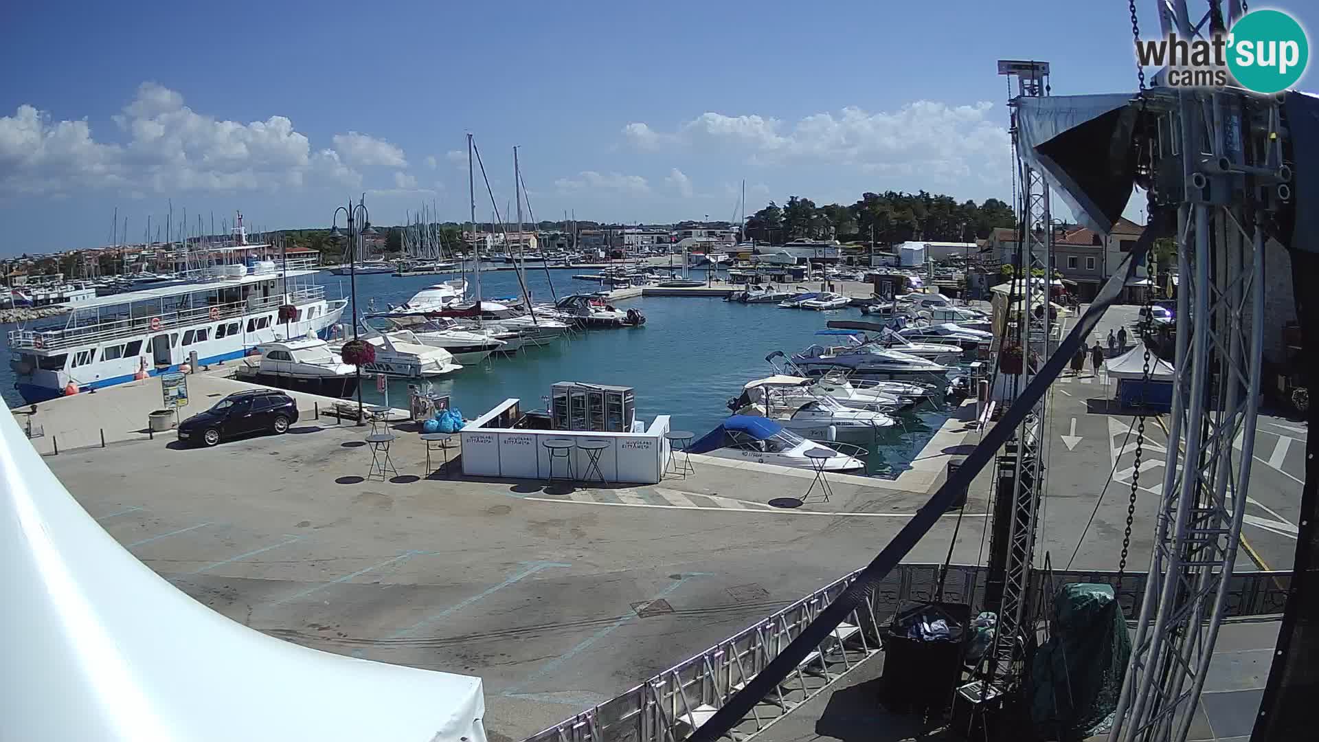 Novigrad | Porporela marina