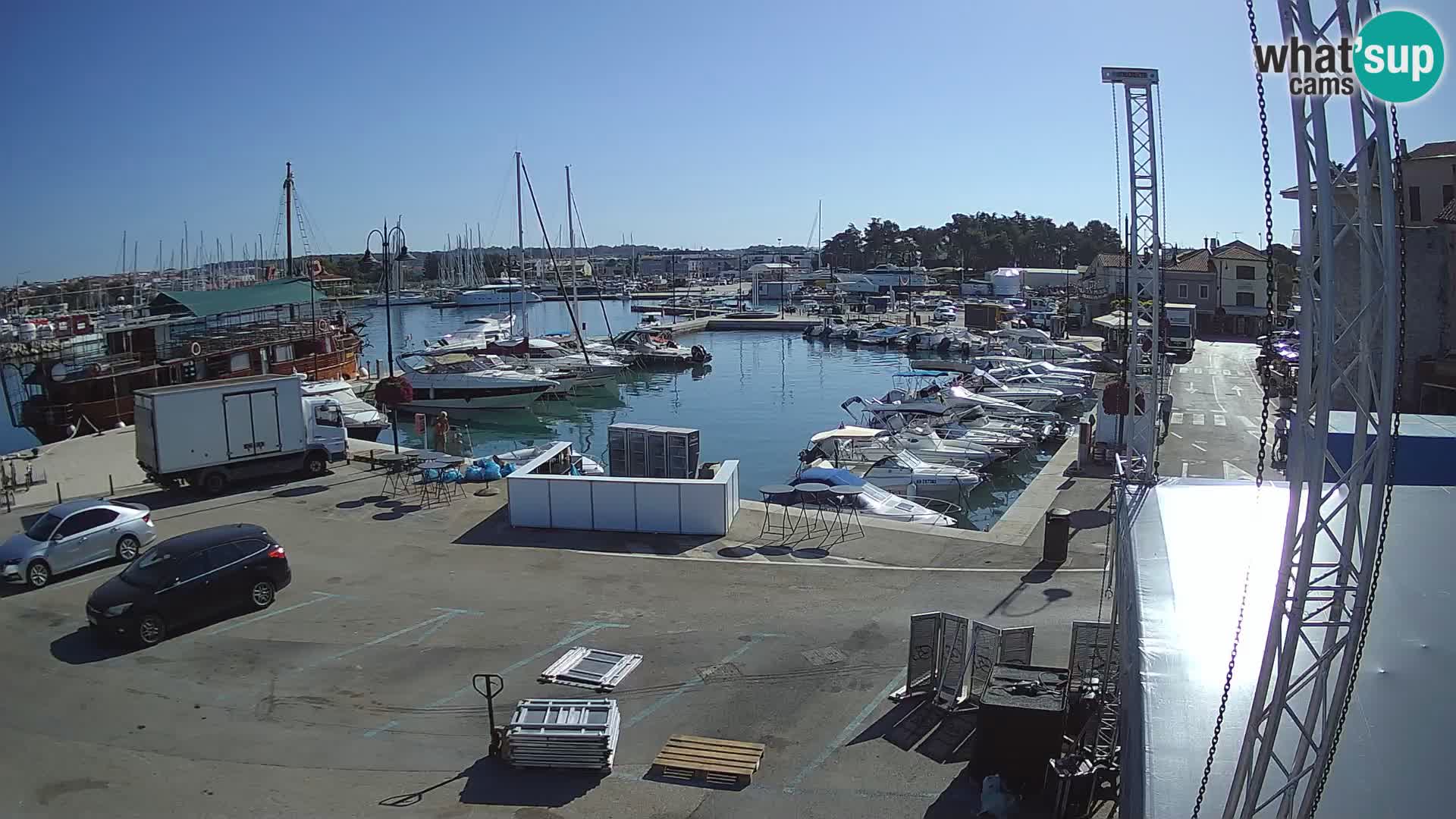 Novigrad | Porporela marina