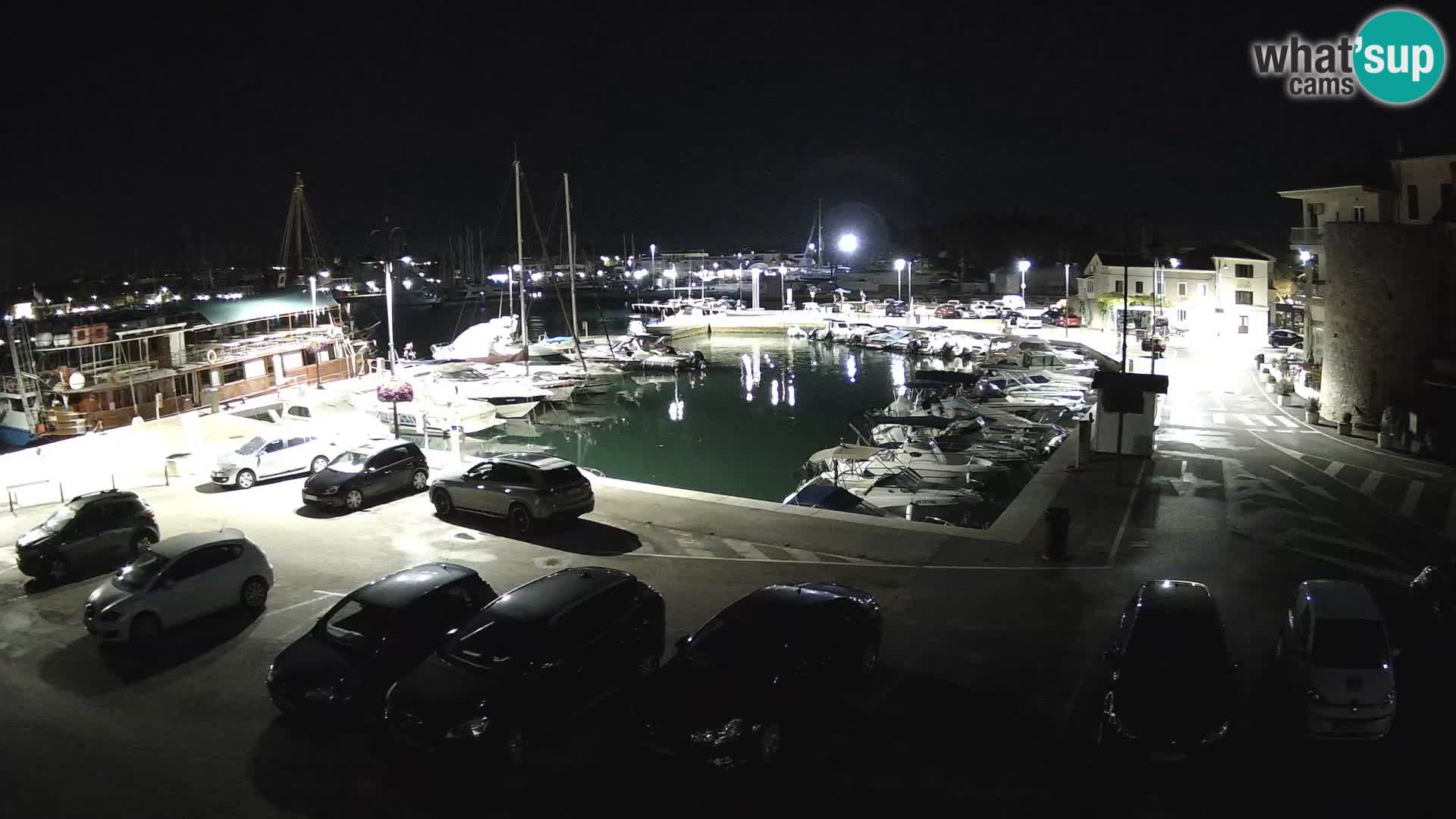 Novigrad | Porporela marina