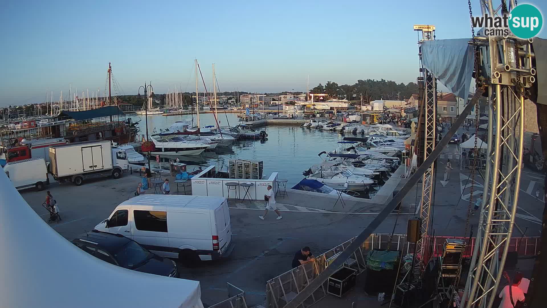 Novigrad | Porporela marina