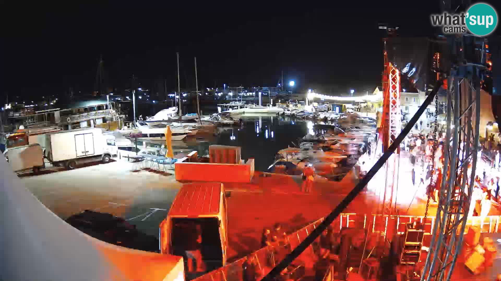 Novigrad | Porporela marina