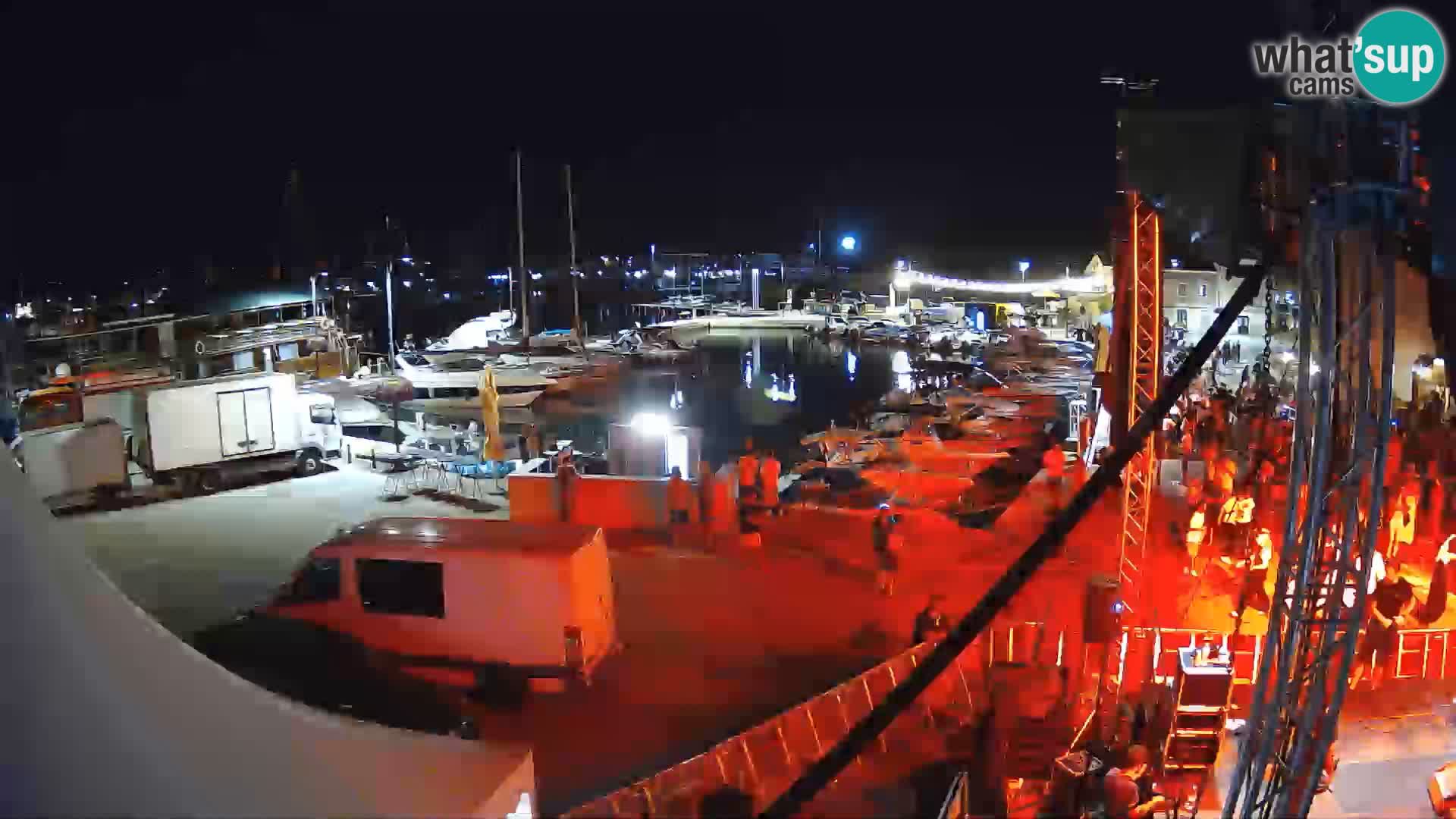 Novigrad | Porporela marina