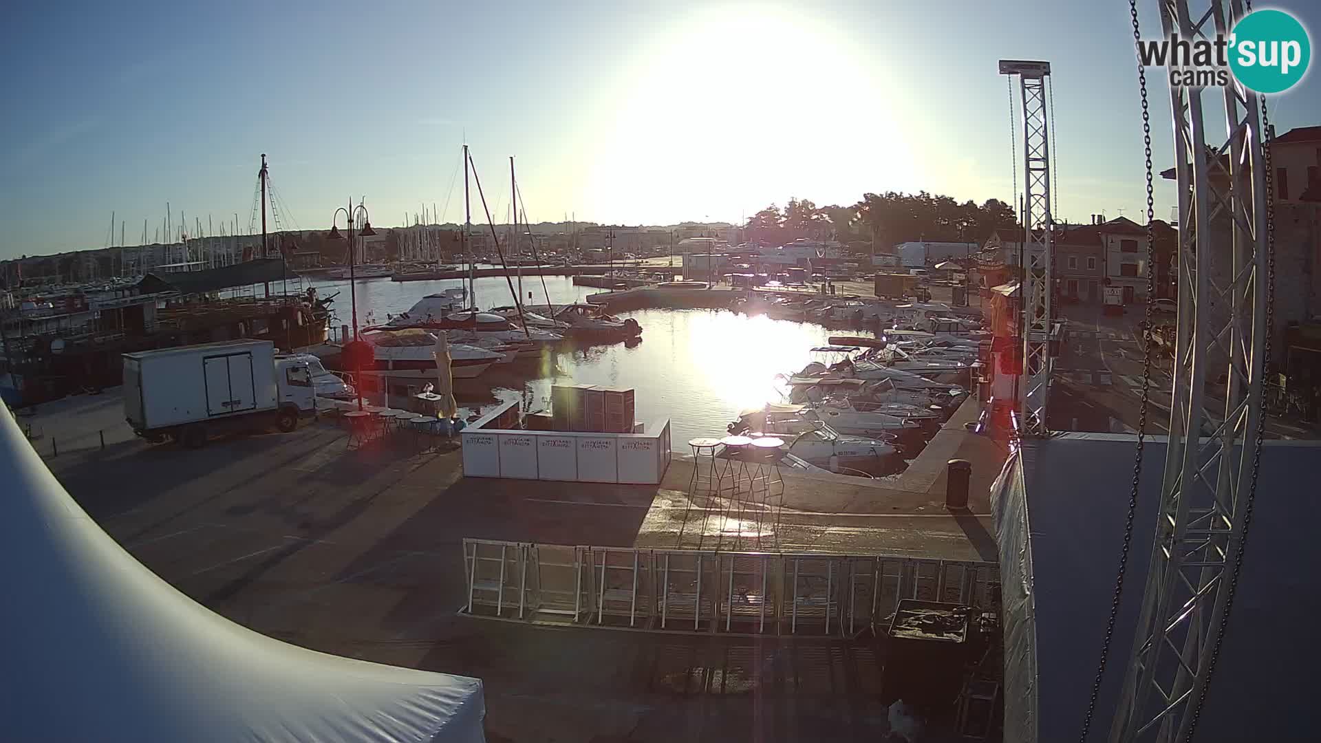 Novigrad | Porporela marina