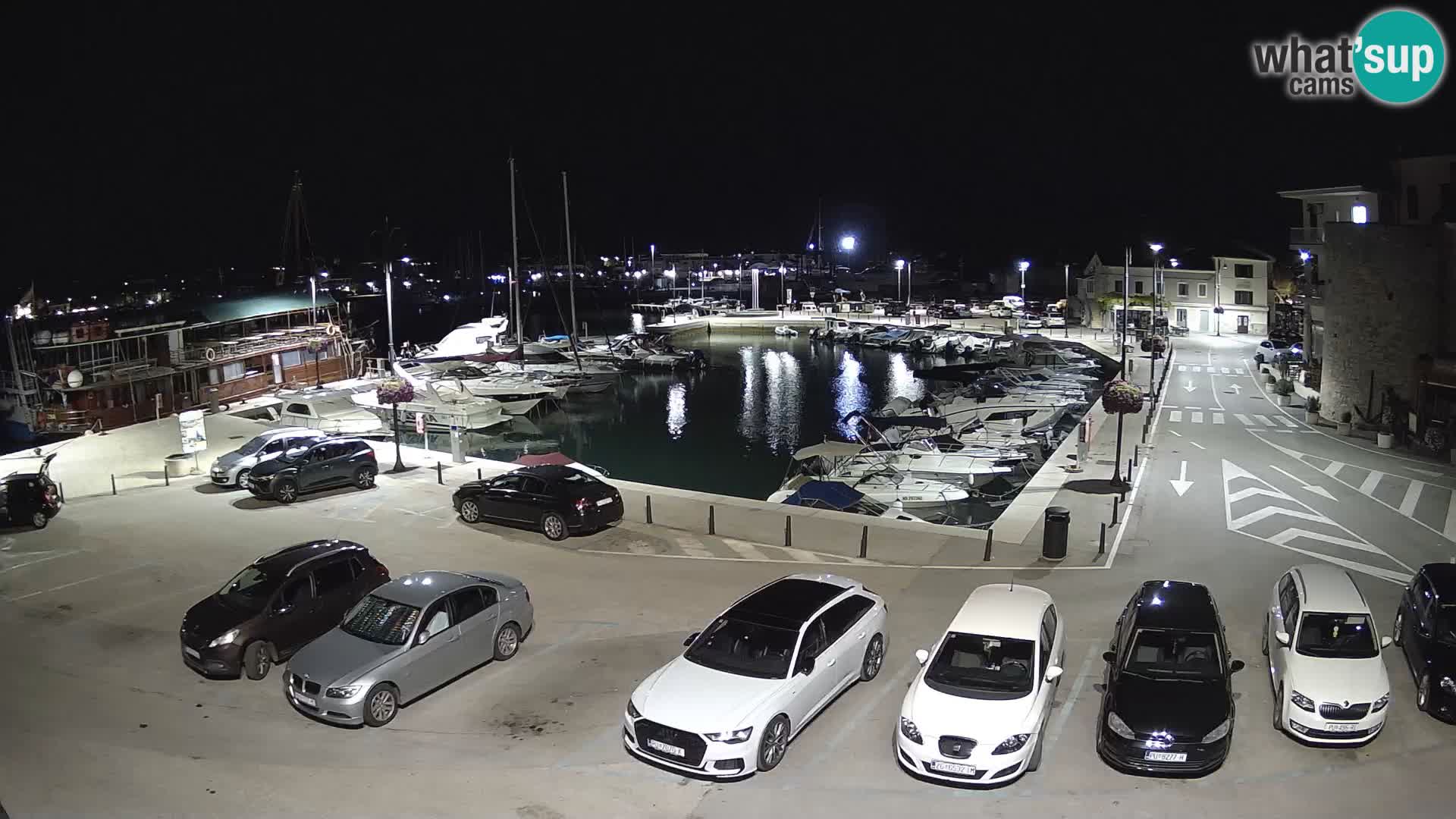 Novigrad | Porporela marina