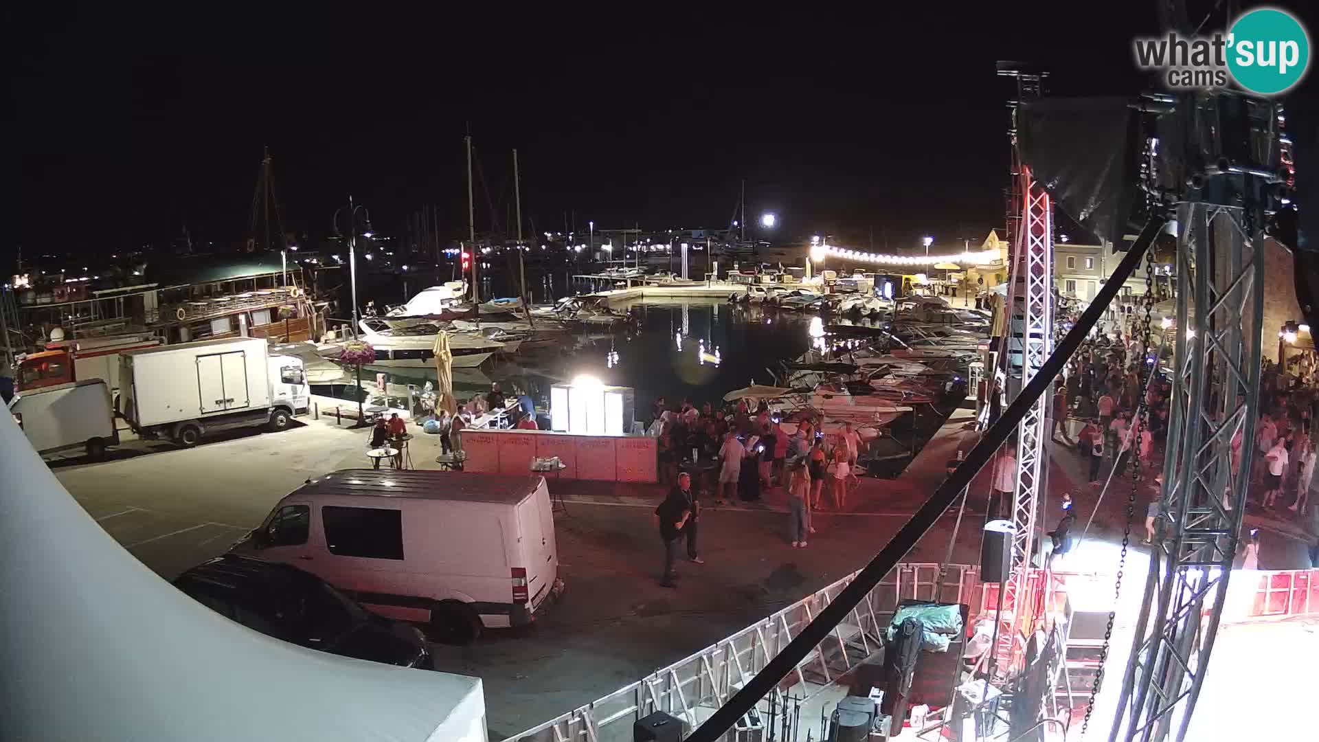 Novigrad | Porporela marina