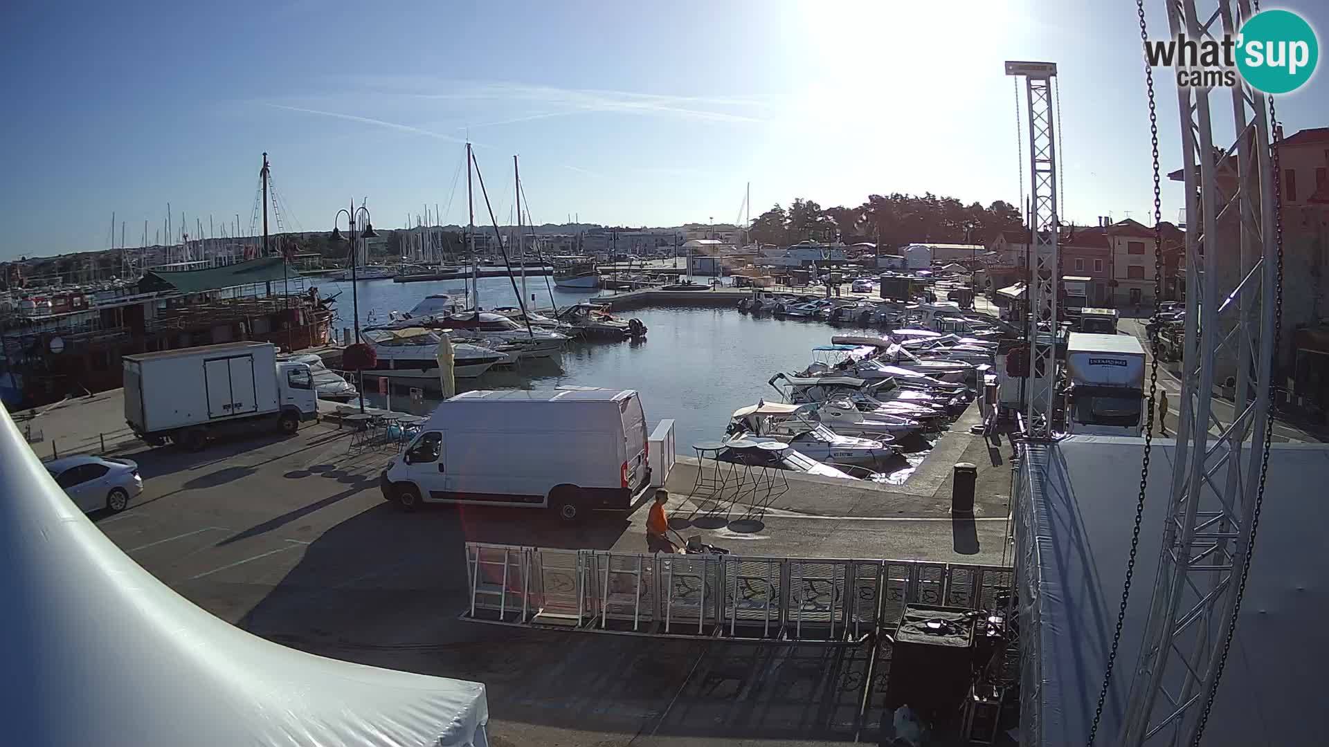 Novigrad | Porporela marina