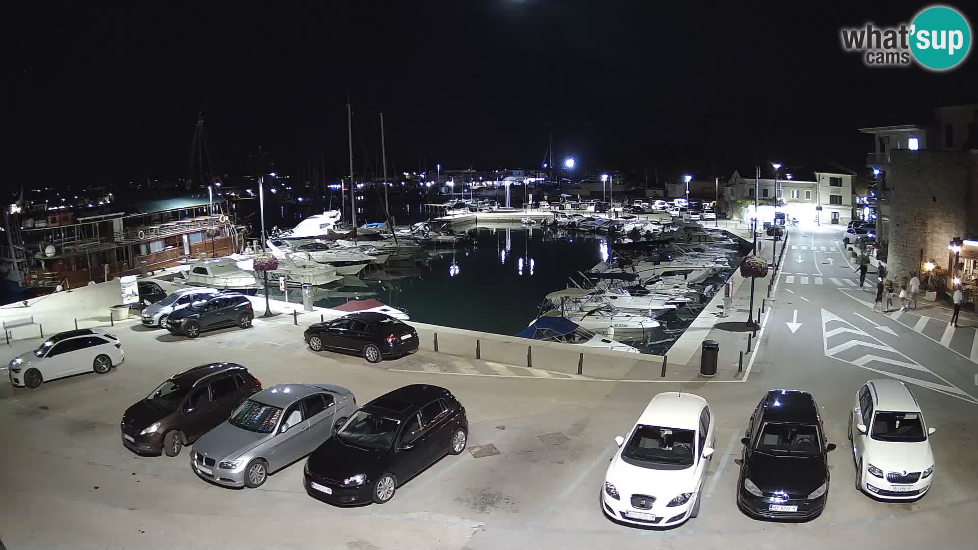 Novigrad | Porporela marina