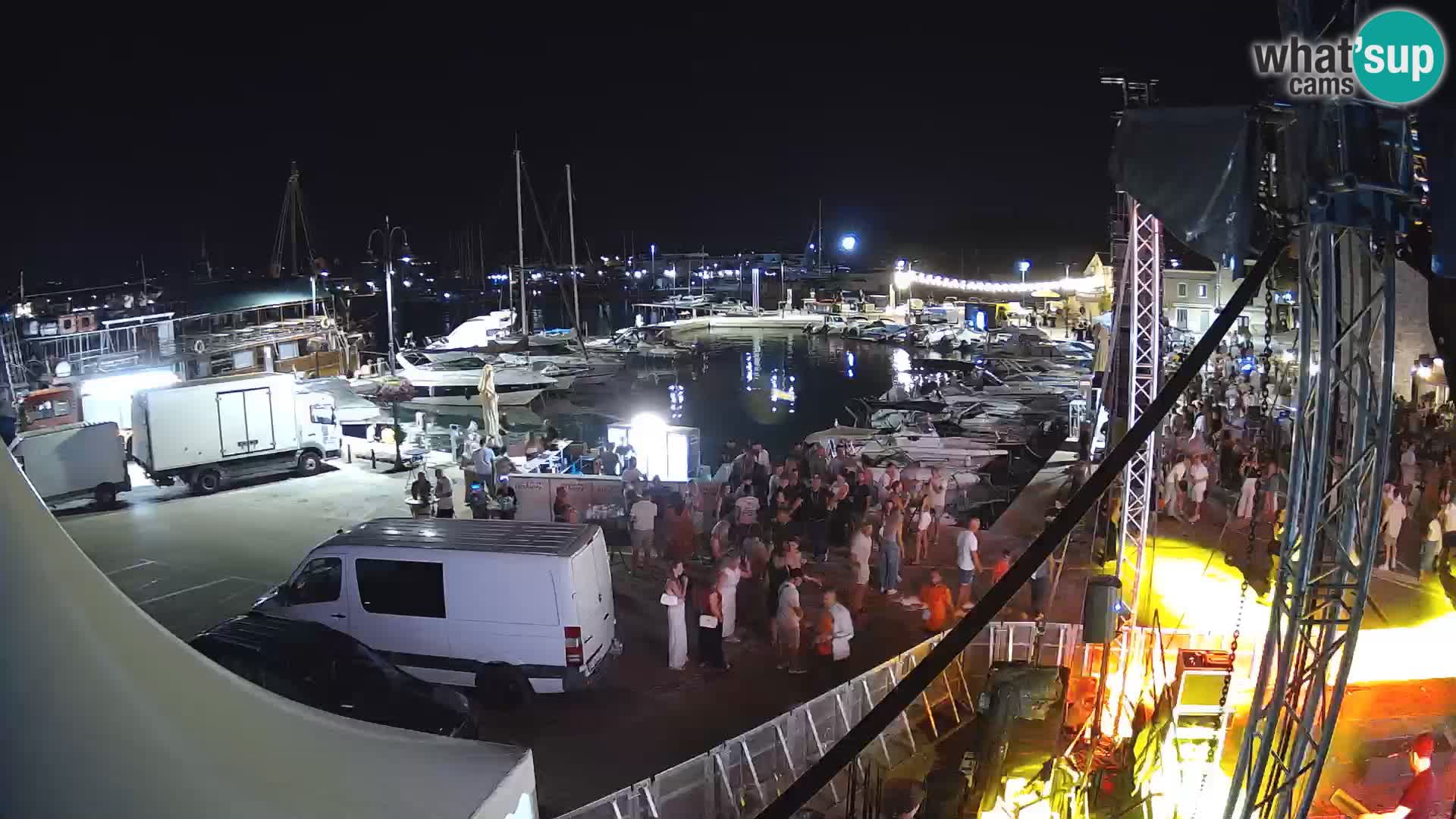 Novigrad | Porporela marina