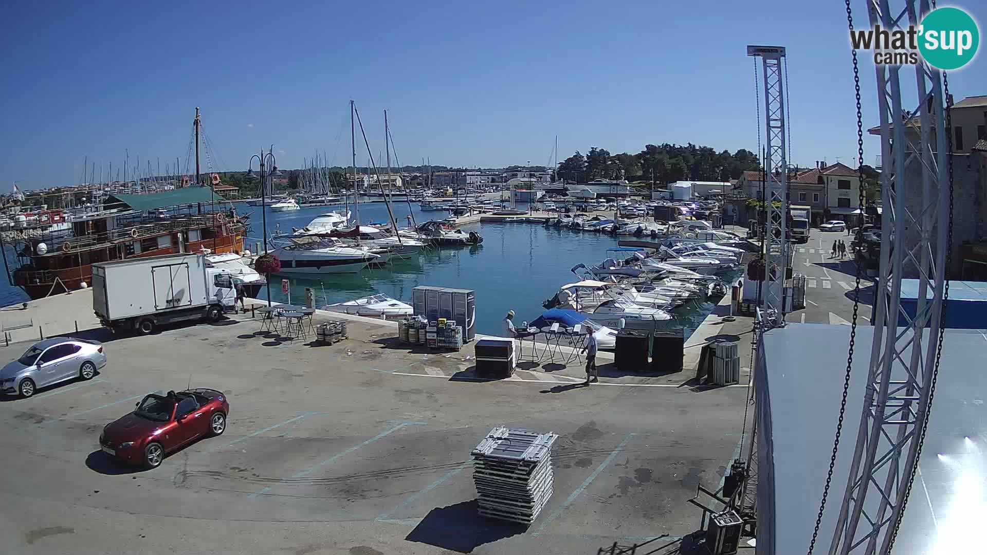 Novigrad | Porporela marina