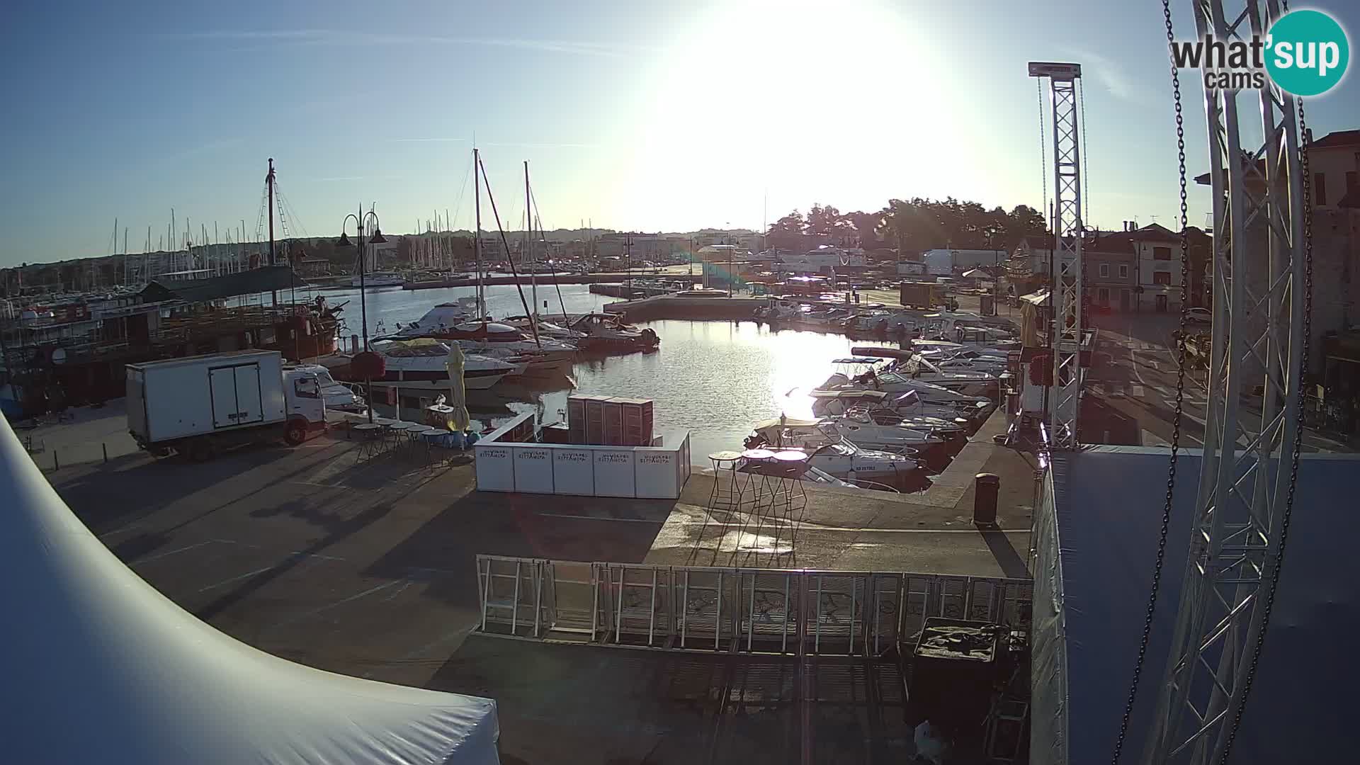 Novigrad | Porporela marina