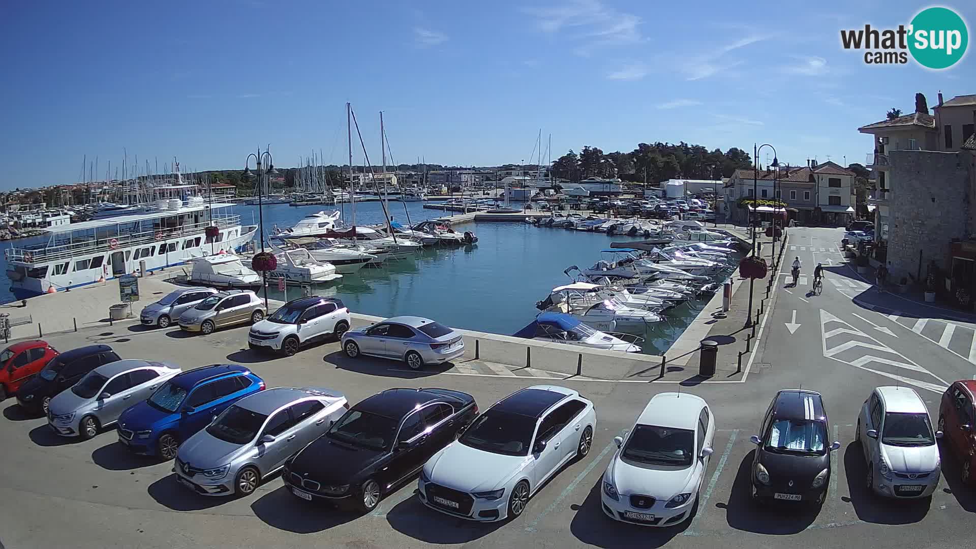 Novigrad | Porporela marina