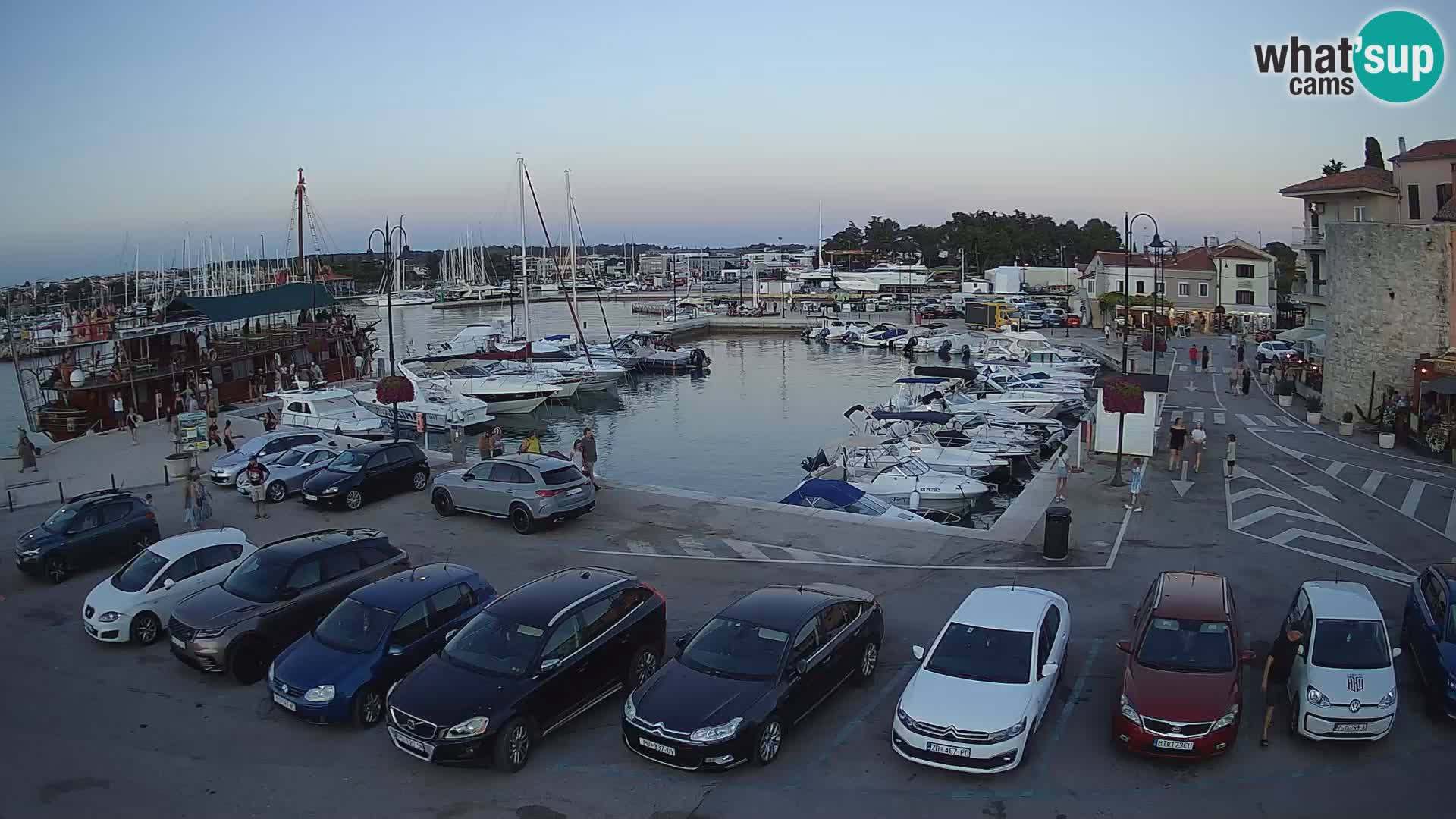 Novigrad | Porporela marina
