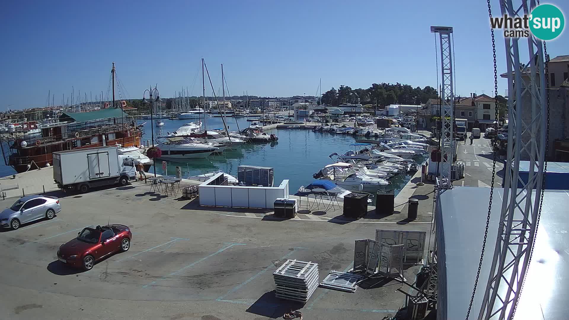 Novigrad | Porporela marina