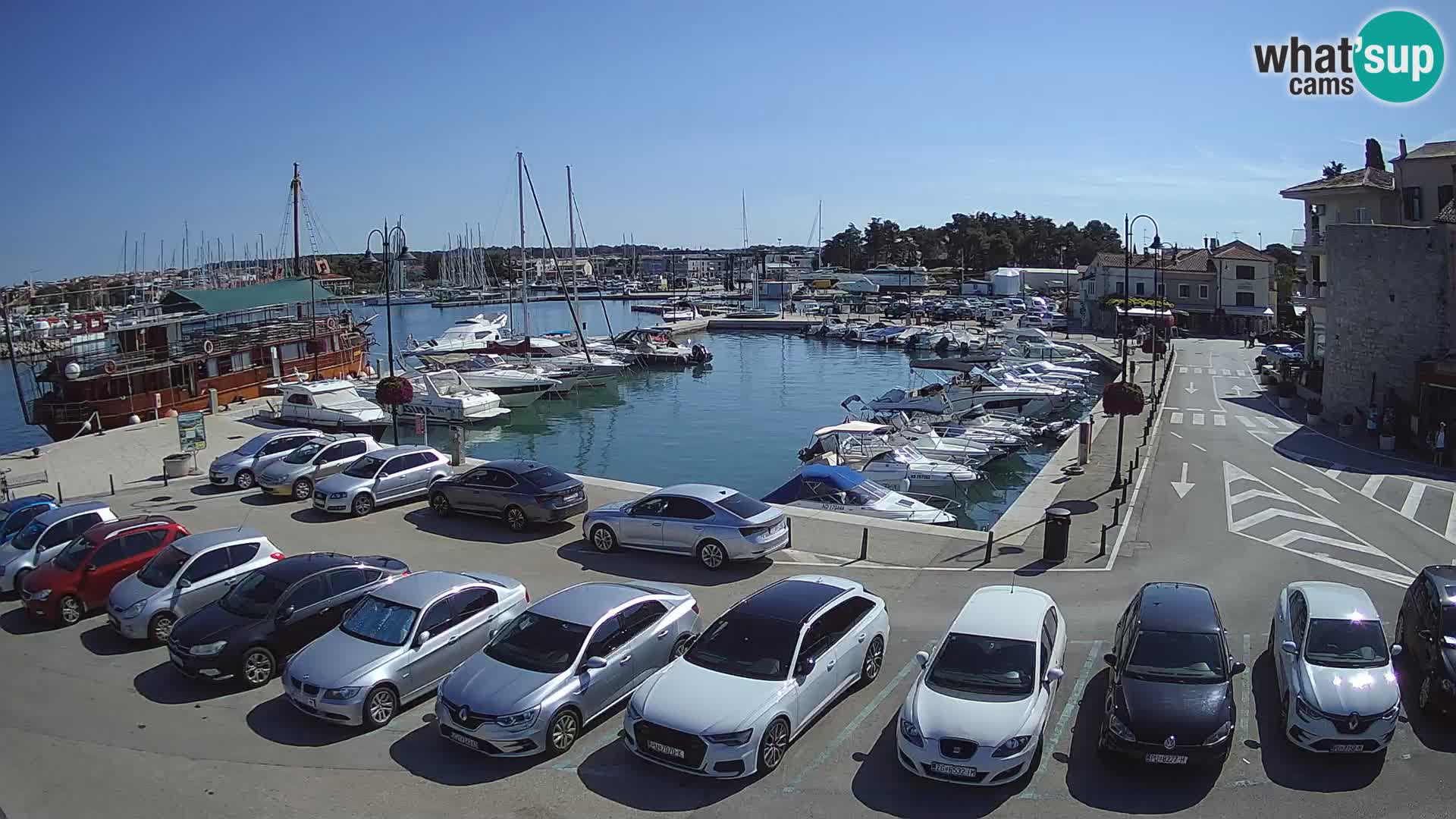 Novigrad | Porporela marina