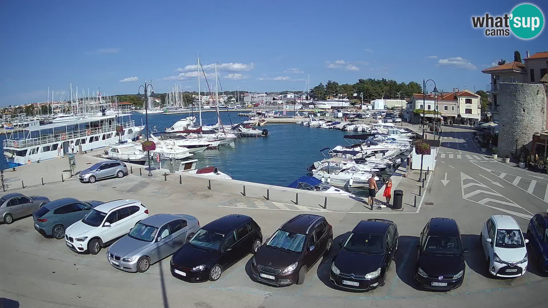 Novigrad | Porporela marina