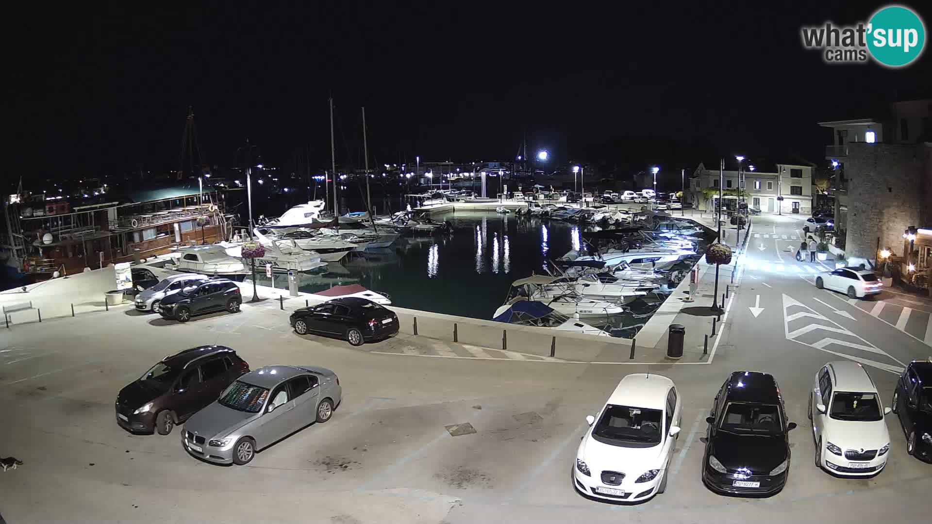 Novigrad | Porporela marina