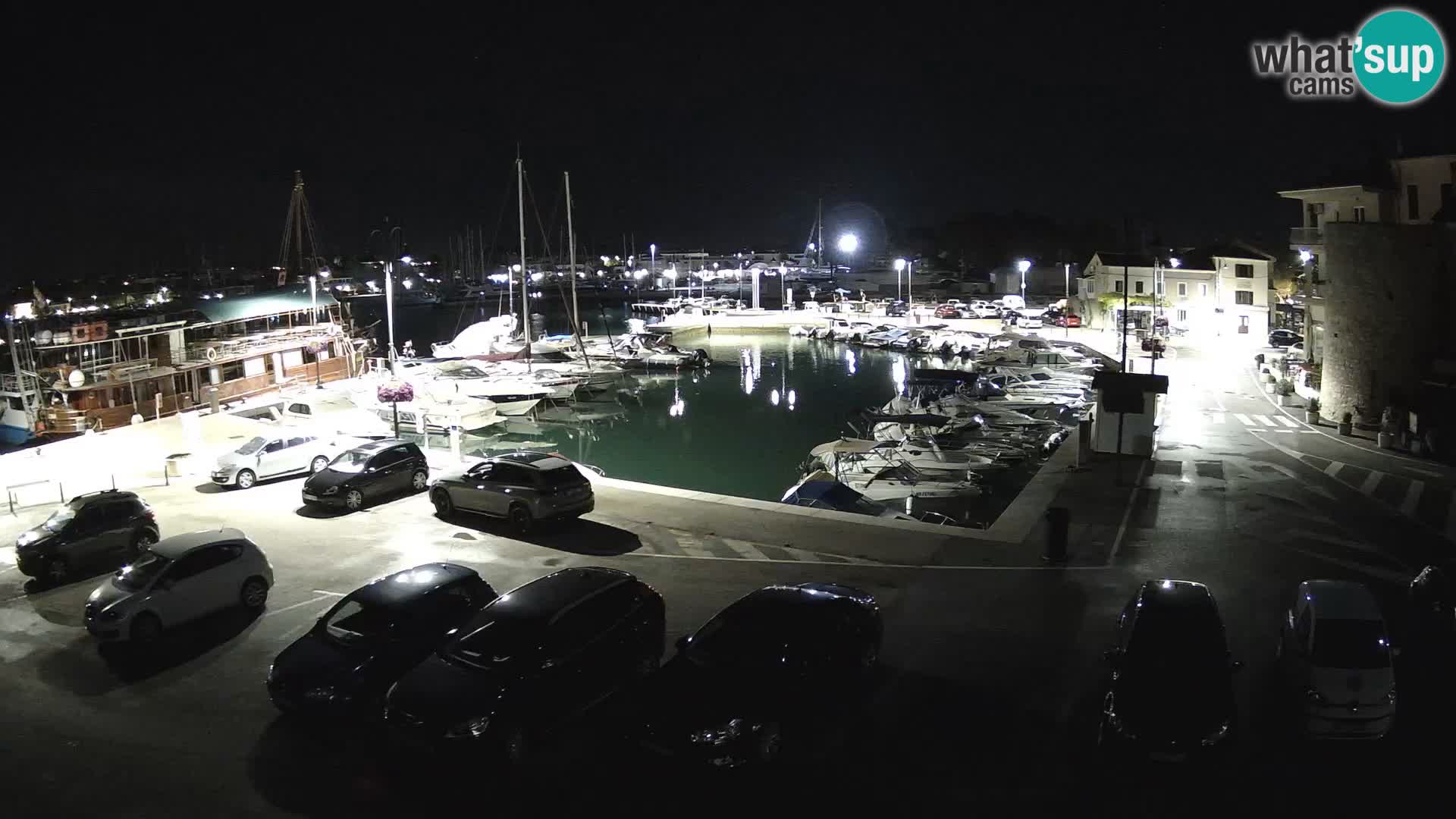 Novigrad | Porporela marina
