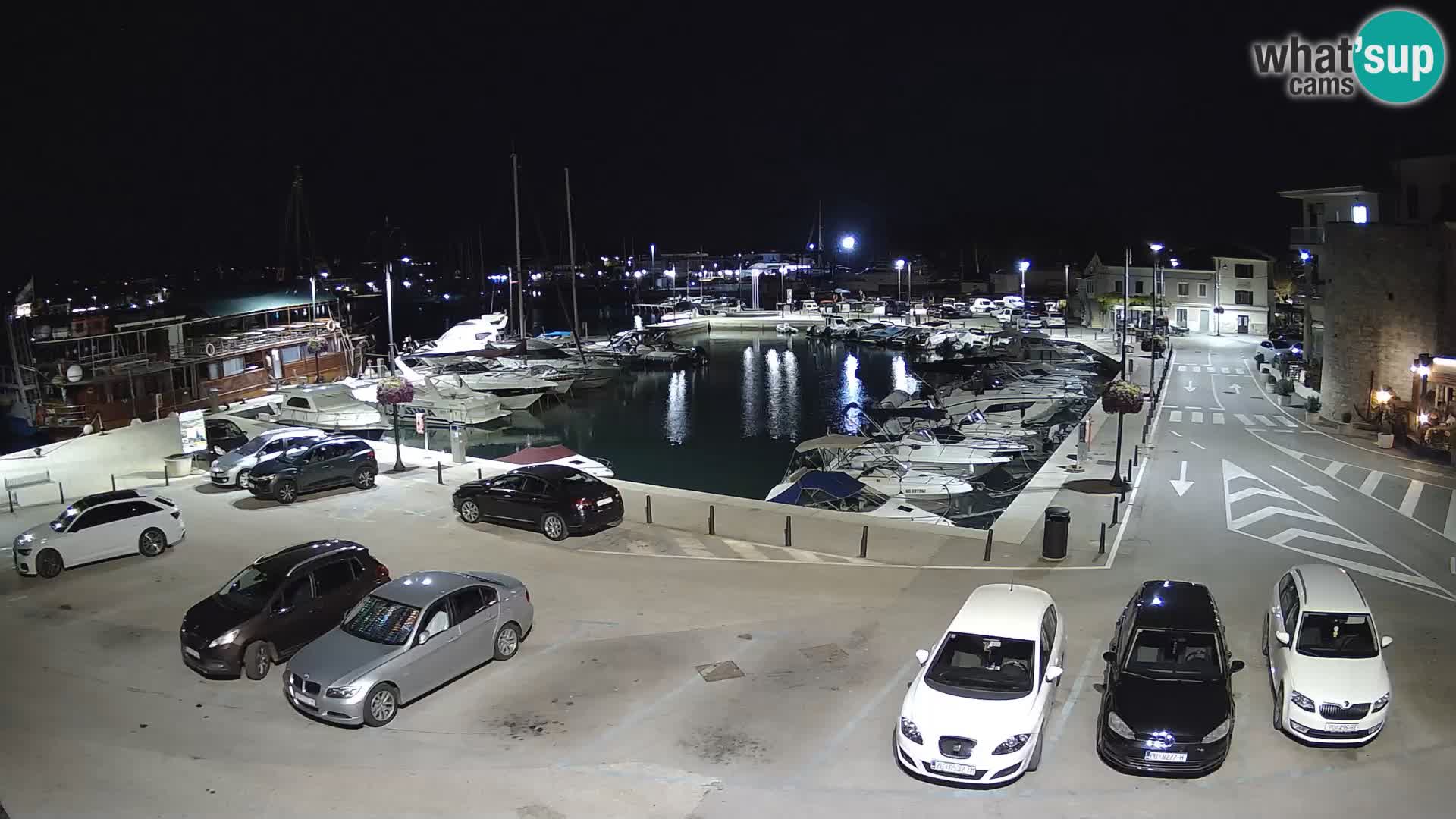 Novigrad | Porporela marina