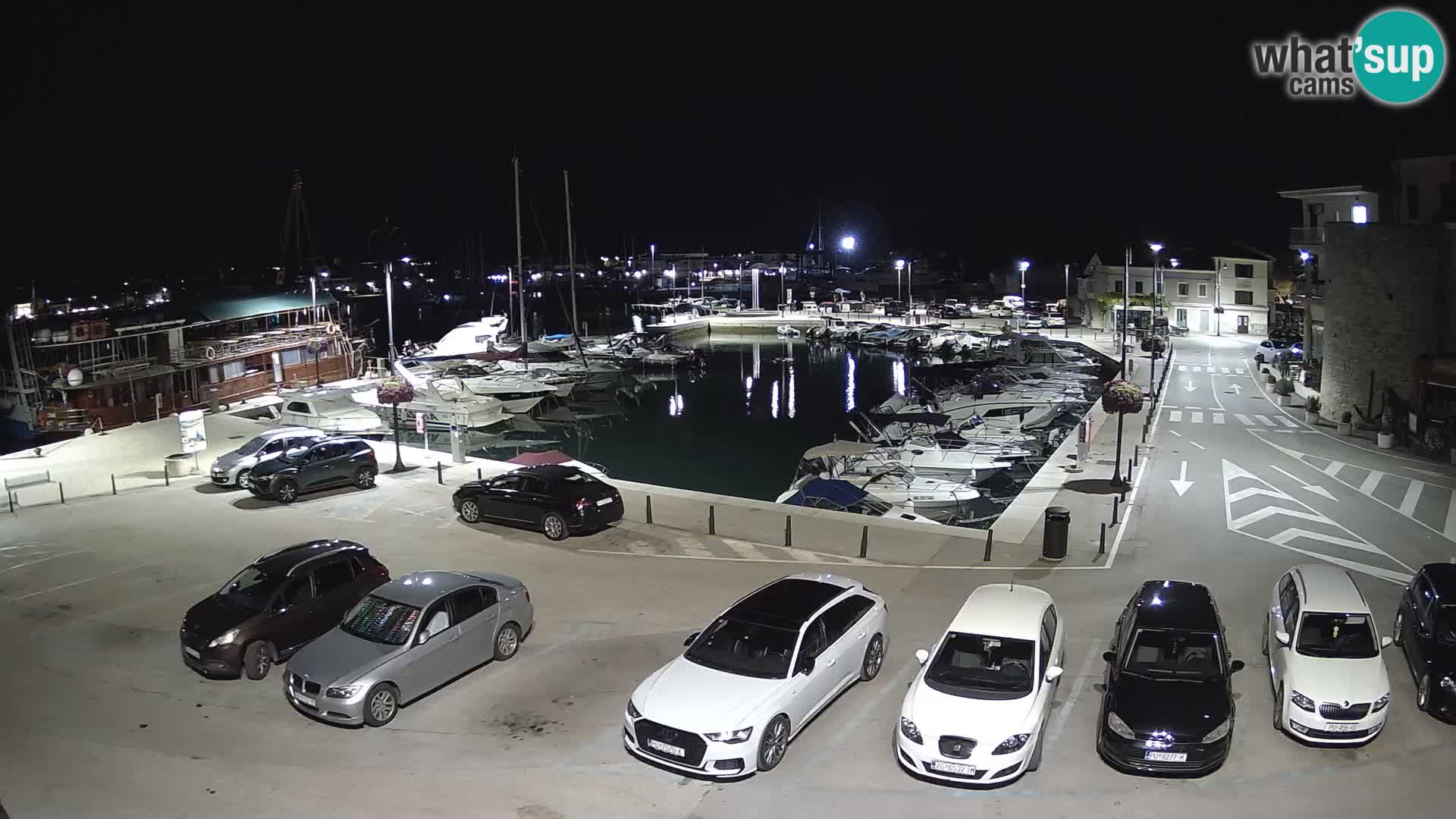 Novigrad | Porporela marina