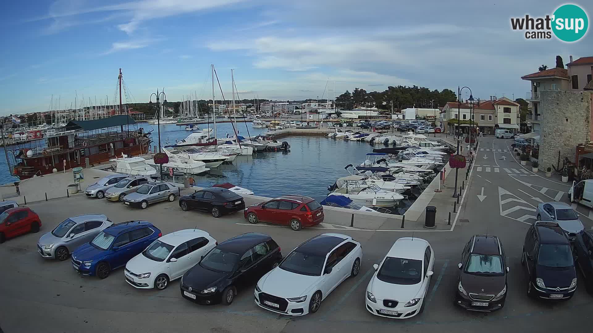 Novigrad | Porporela marina