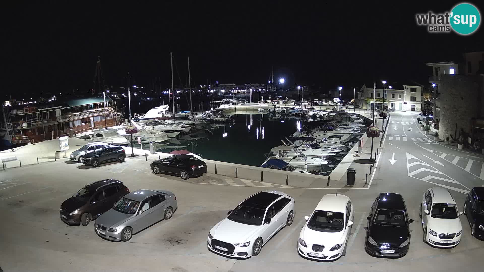 Novigrad | Porporela marina