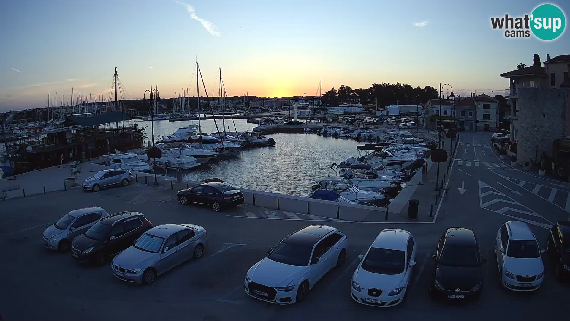 Novigrad | Porporela marina